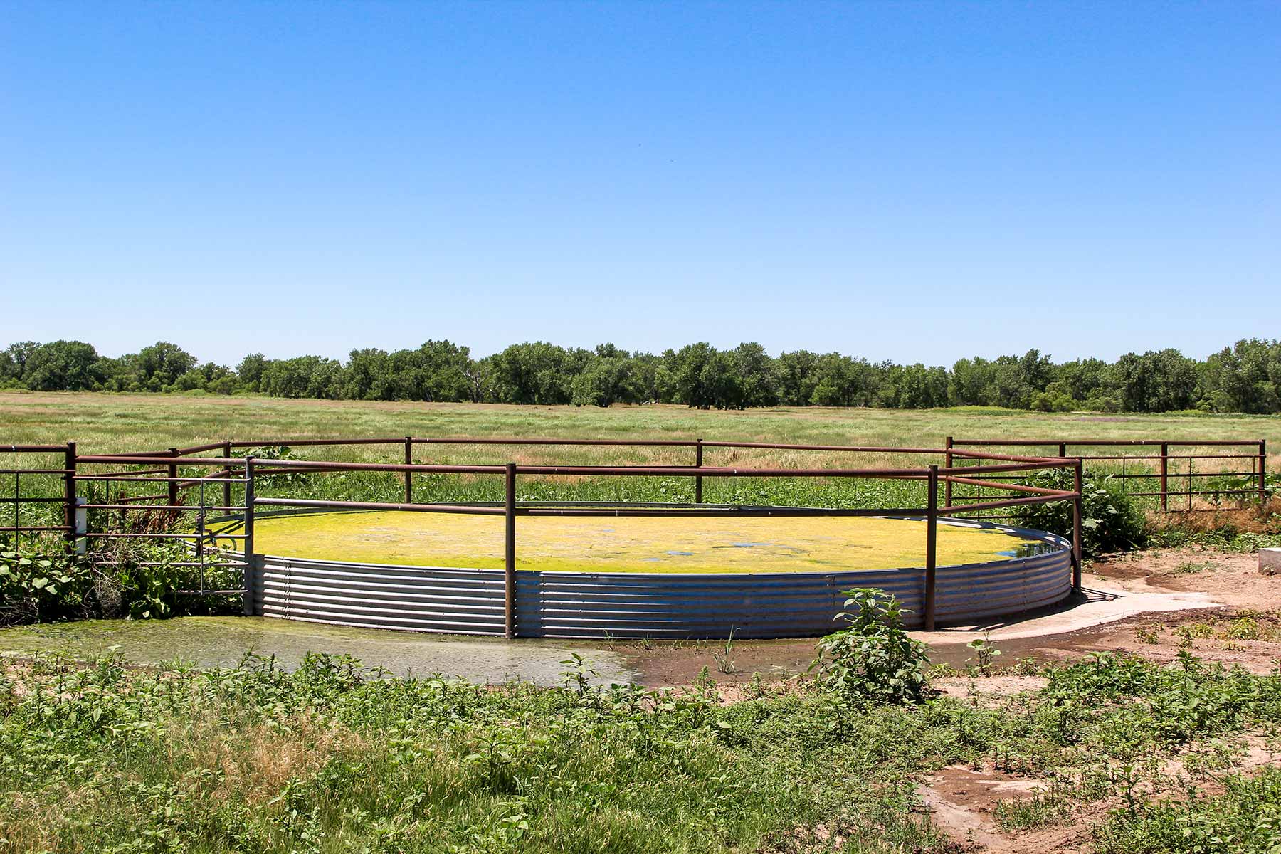 Rust Ranch property picture 58 of 77