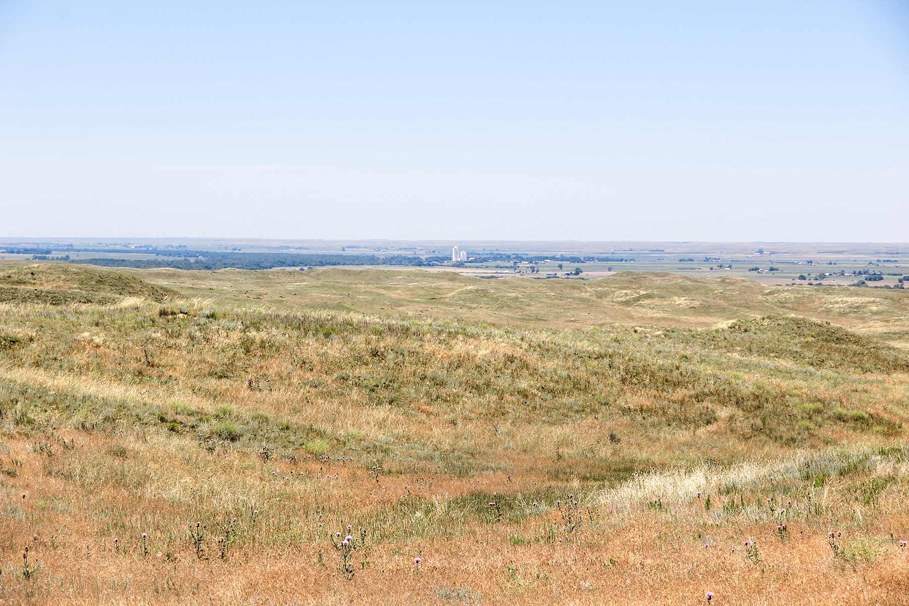 Rust Ranch property picture 50 of 77