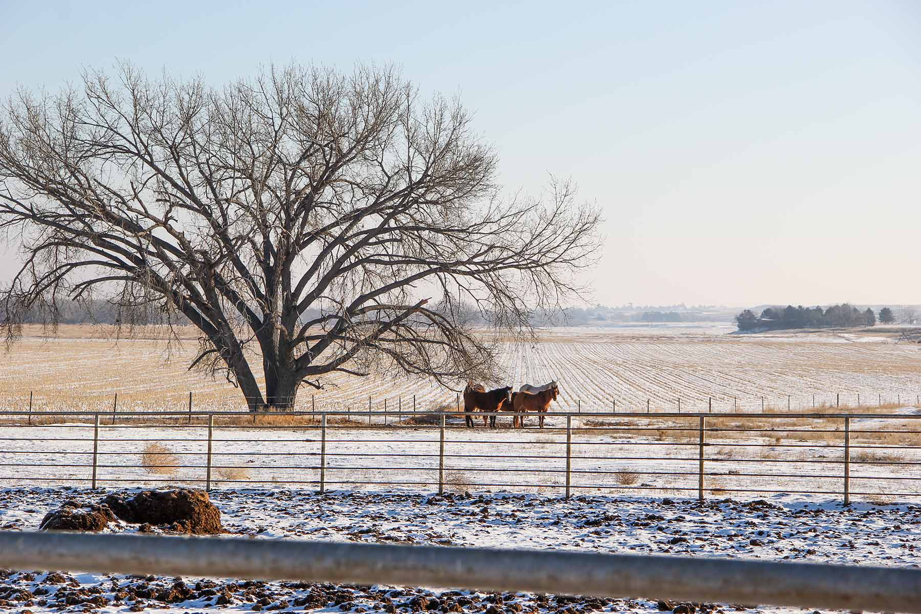 Rust Ranch property picture 2 of 77