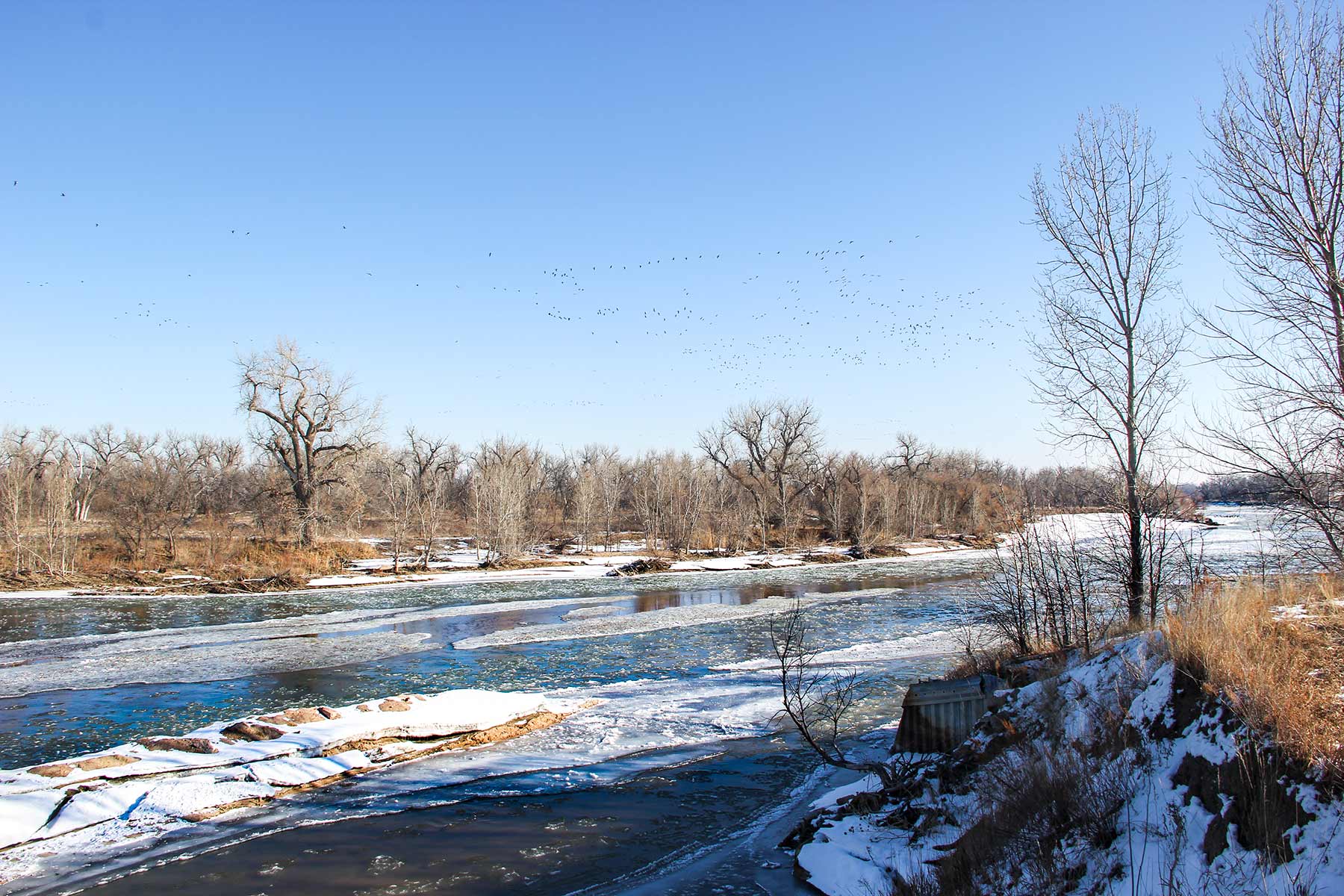 Rust Ranch property picture 3 of 77