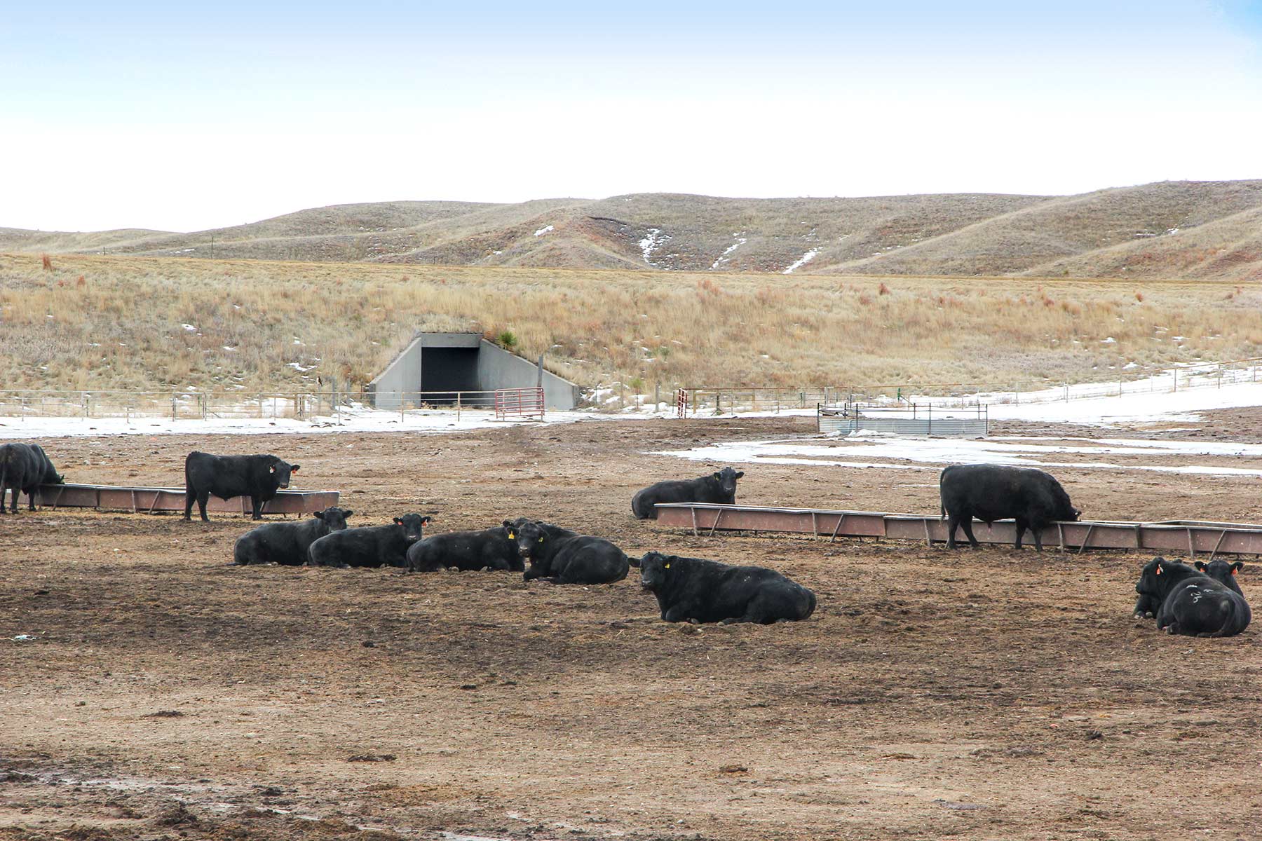 Rust Ranch property picture 10 of 77