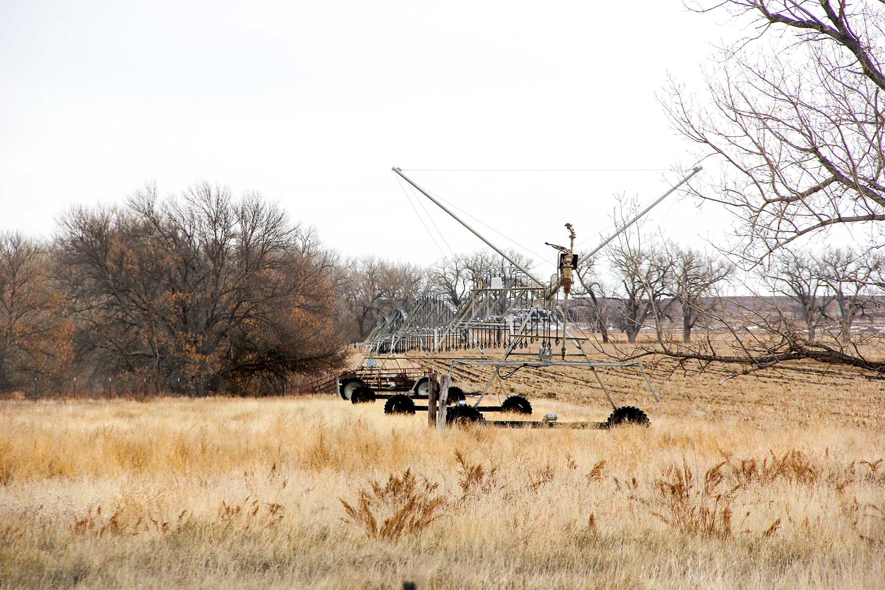 Rust Ranch property picture 13 of 77