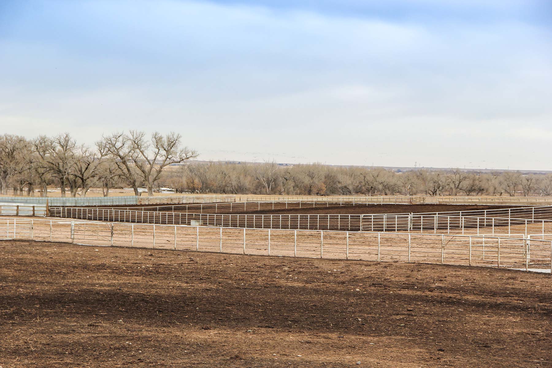 Rust Ranch property picture 15 of 77