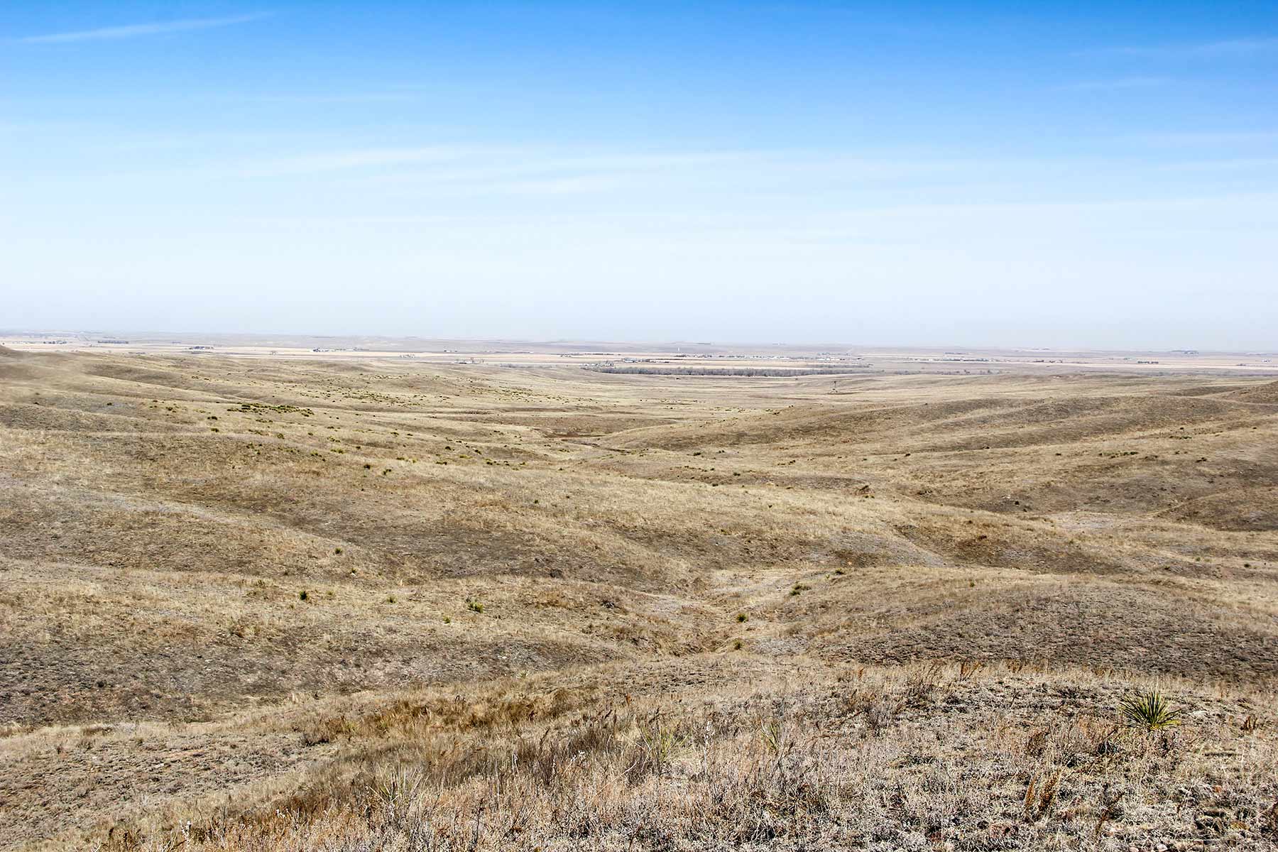 Rust Ranch property picture 16 of 77