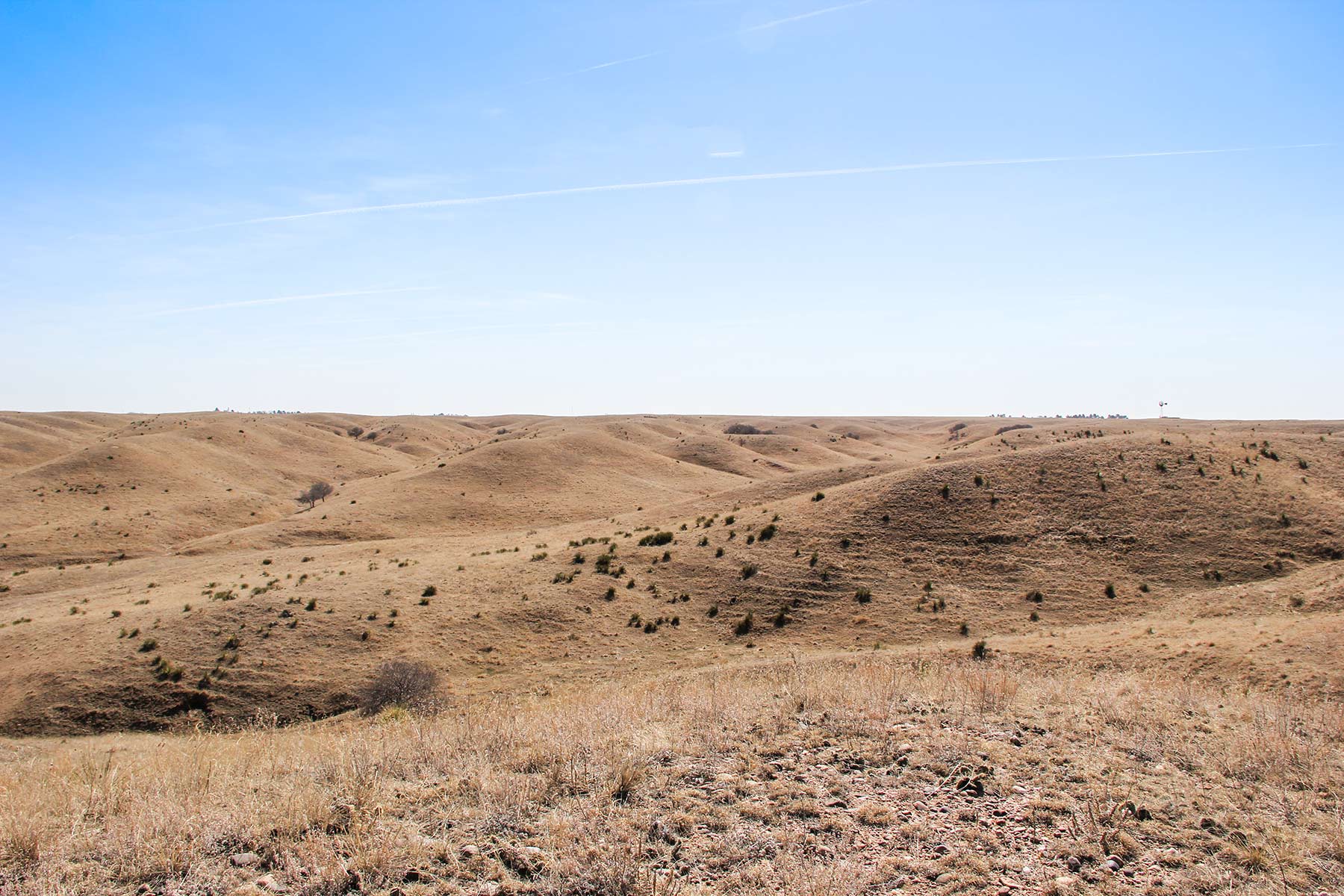 Rust Ranch property picture 18 of 77