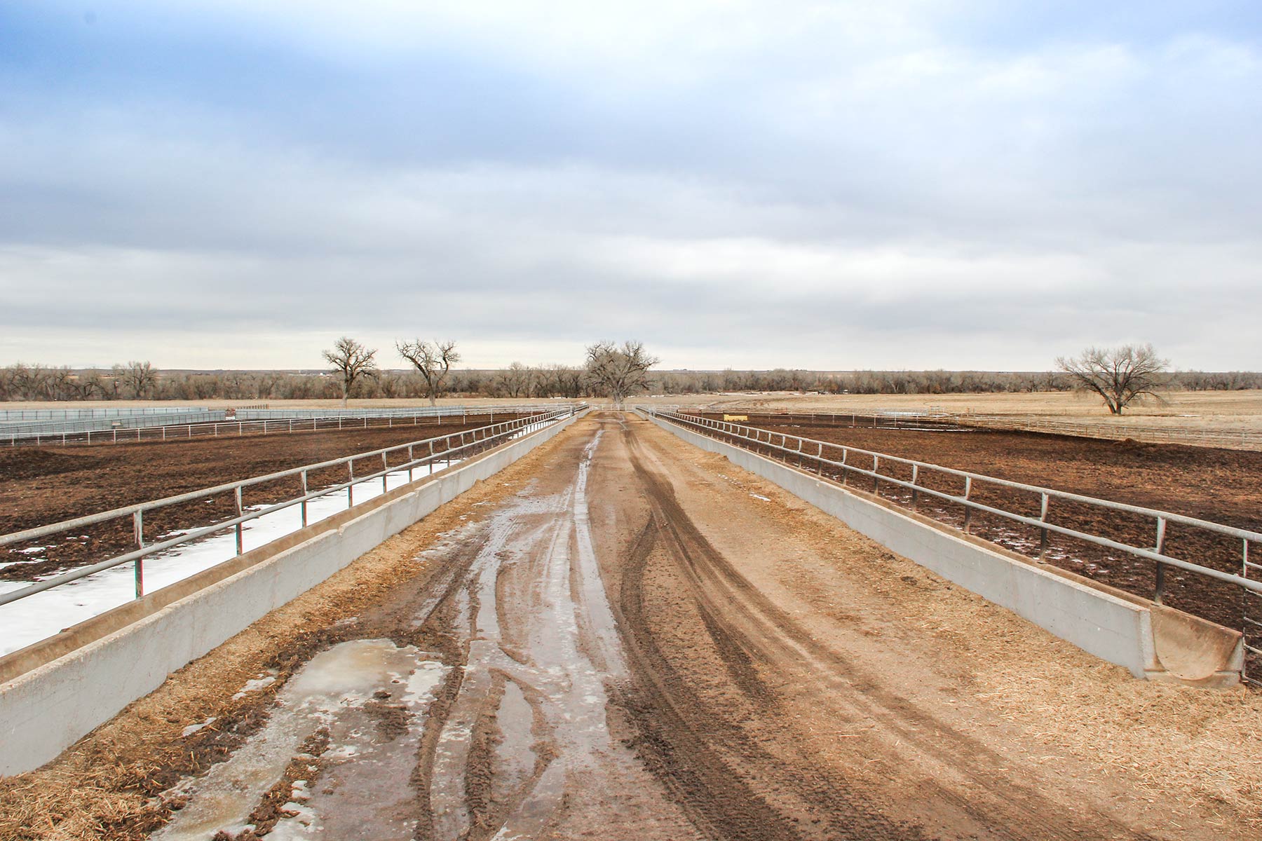 Rust Ranch property picture 28 of 77