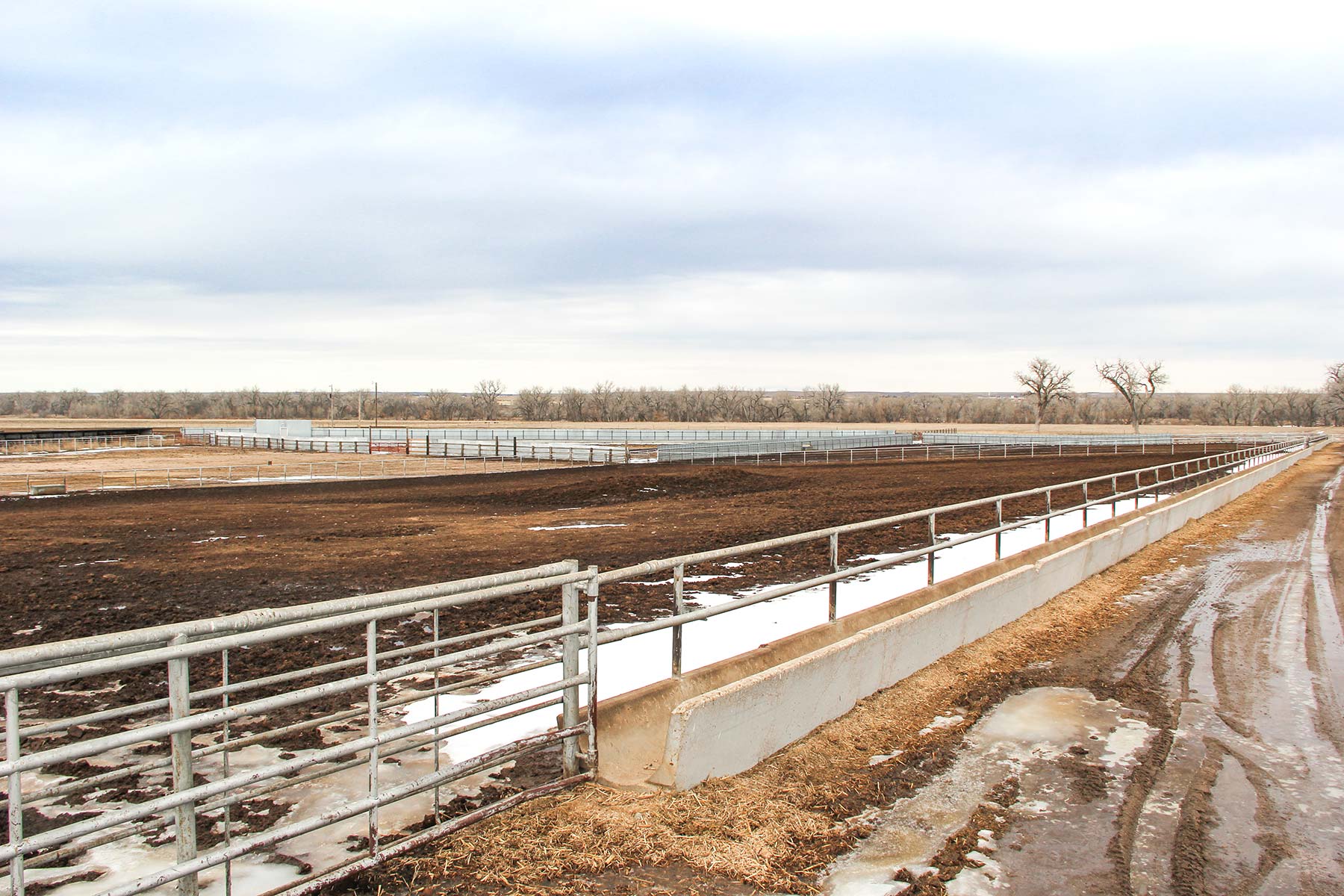 Rust Ranch property picture 29 of 77