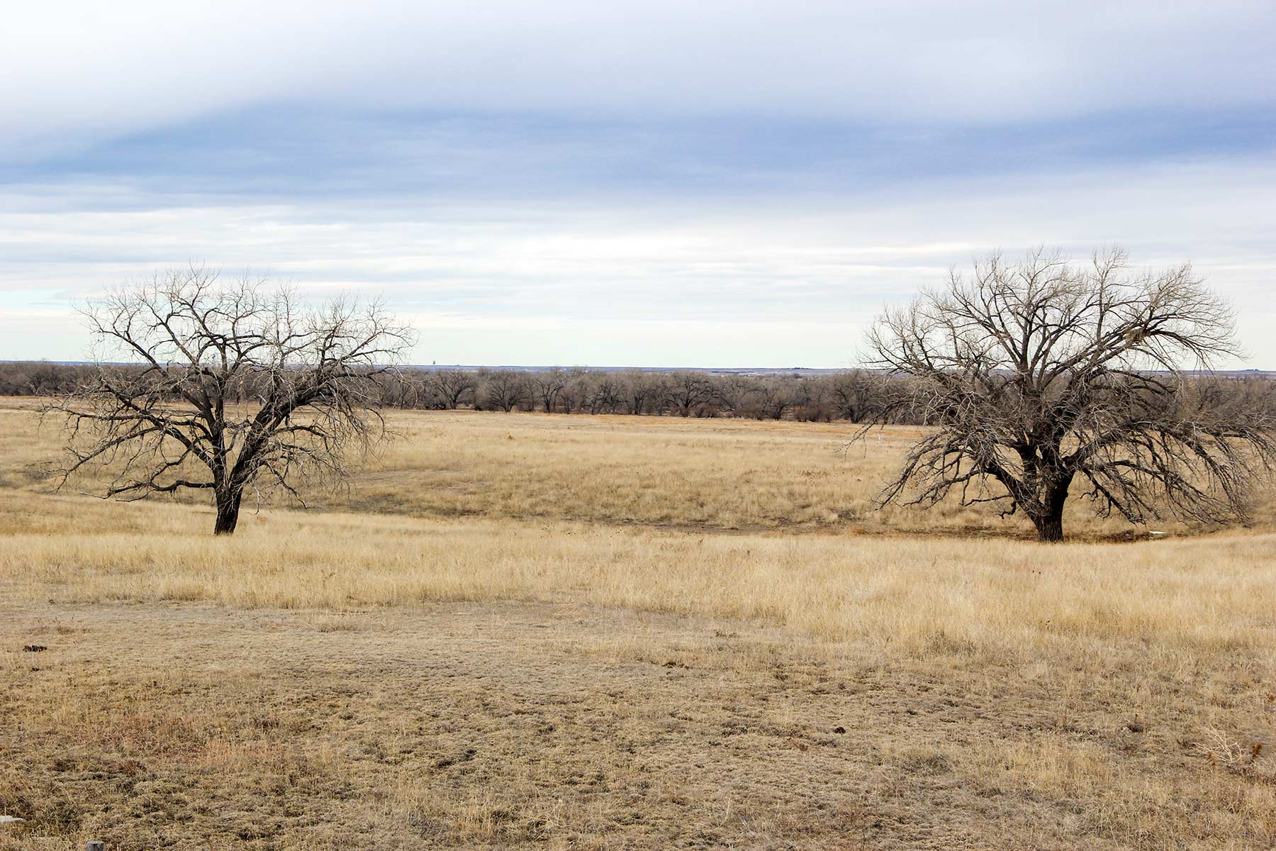 Rust Ranch property picture 32 of 77
