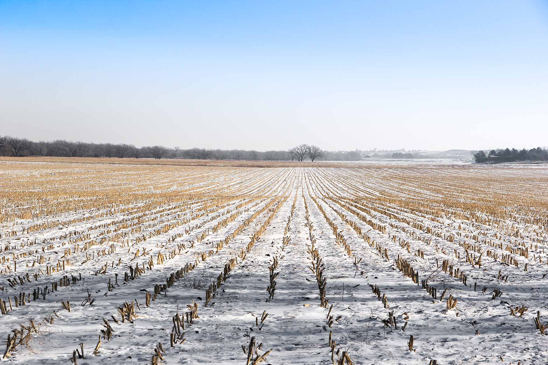 Rust Ranch property picture 36 of 77