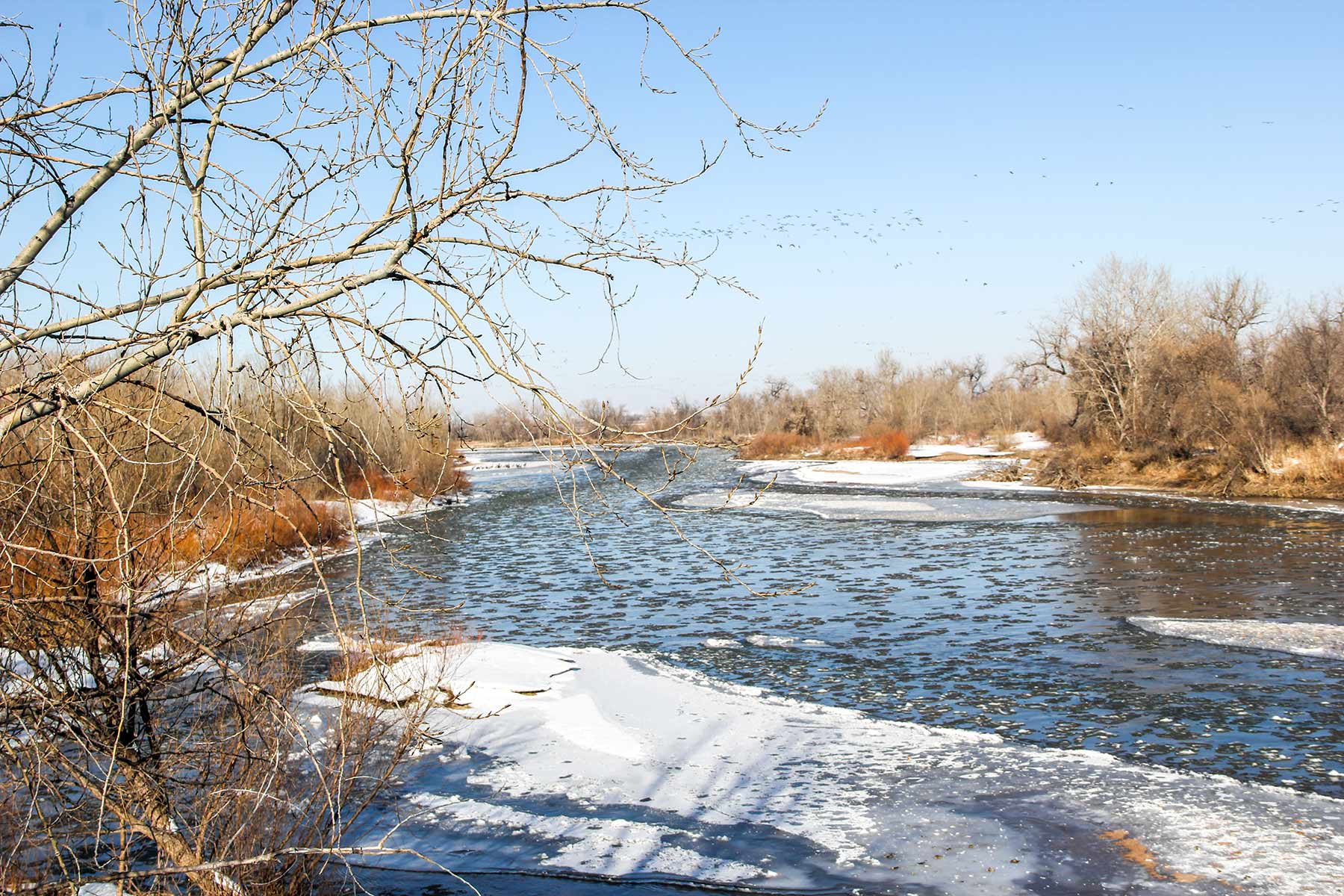 Rust Ranch property picture 39 of 77