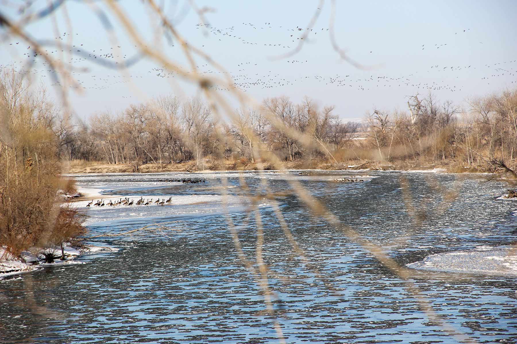 Rust Ranch property picture 40 of 77