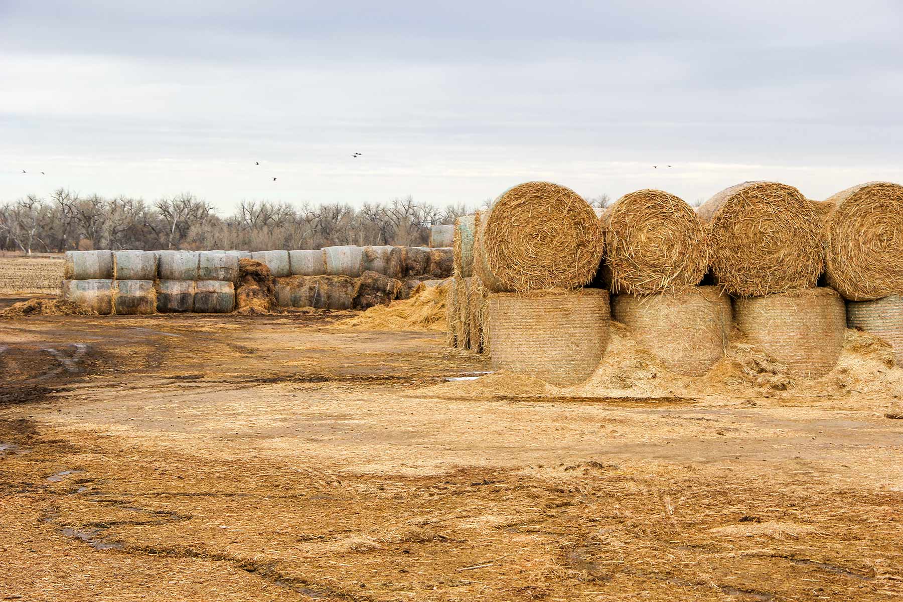 Rust Ranch property picture 43 of 77