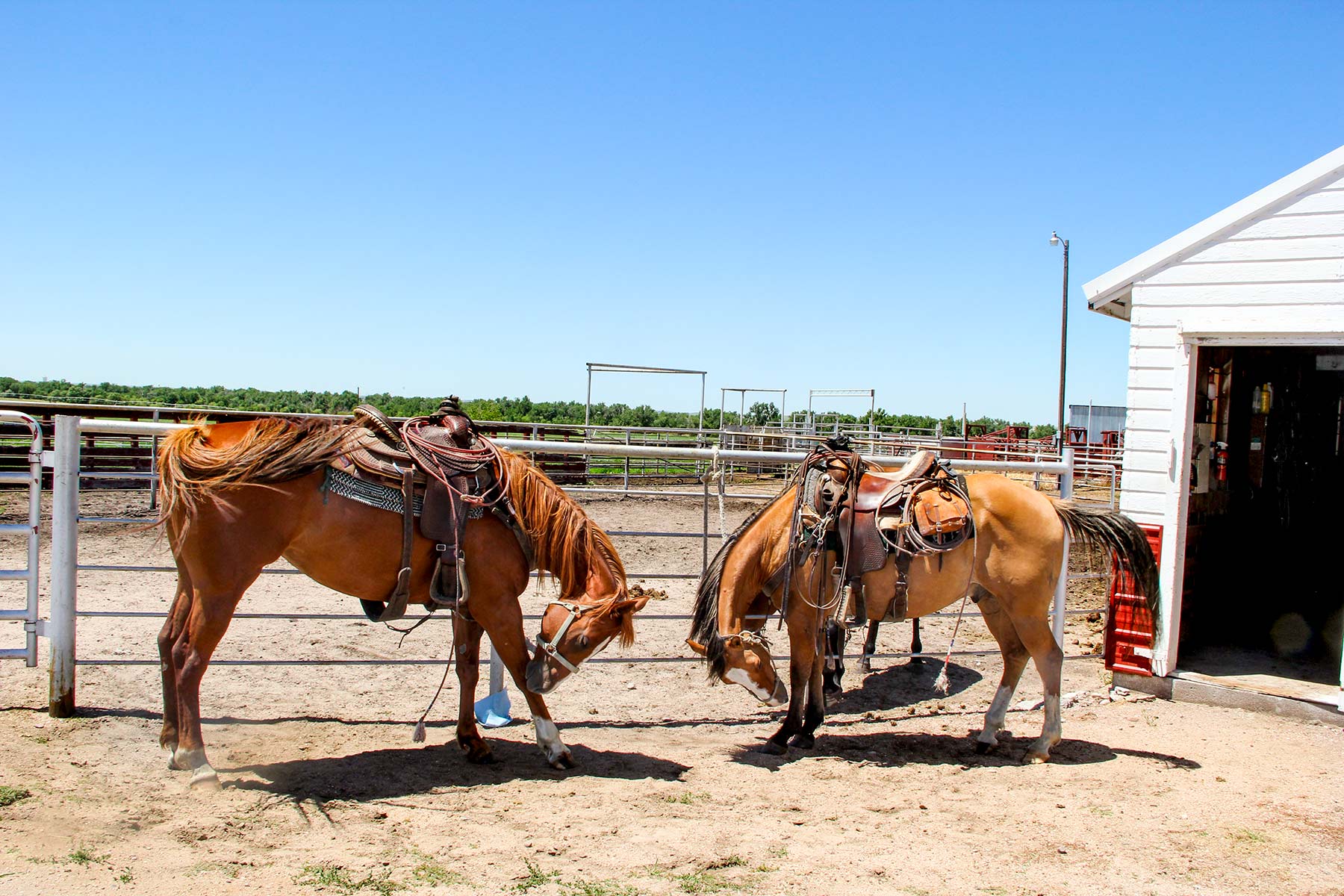 Rust Ranch property picture 69 of 77