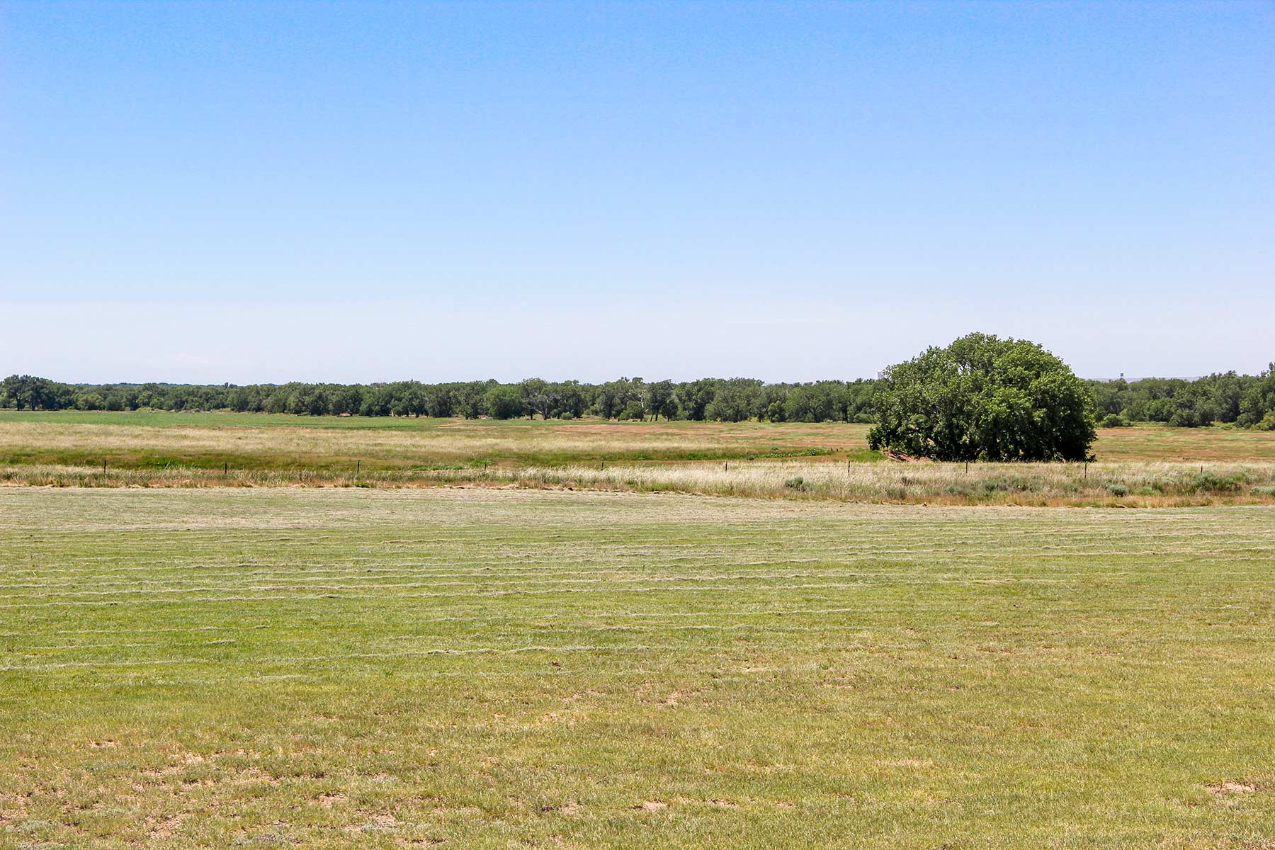 Rust Ranch property picture 54 of 77