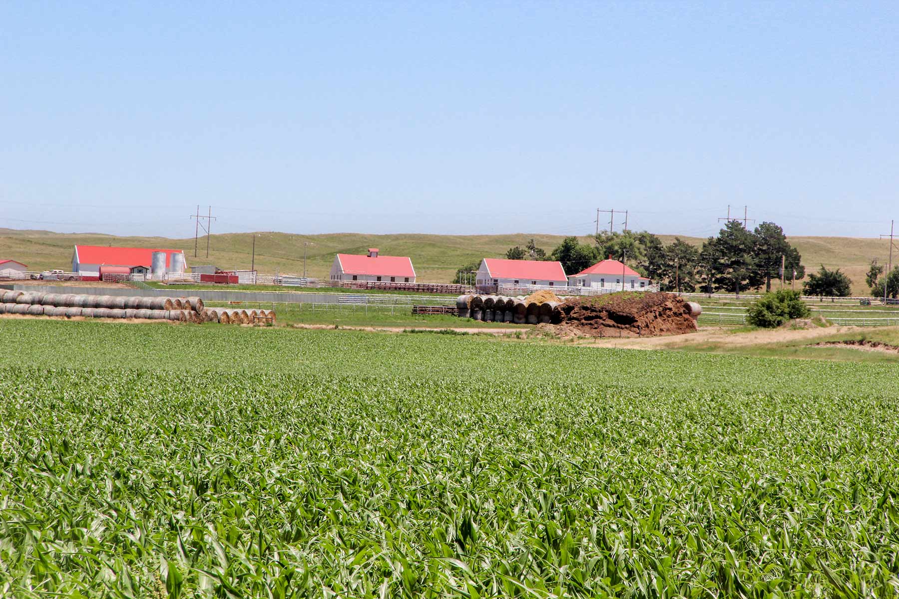 Rust Ranch property picture 73 of 77