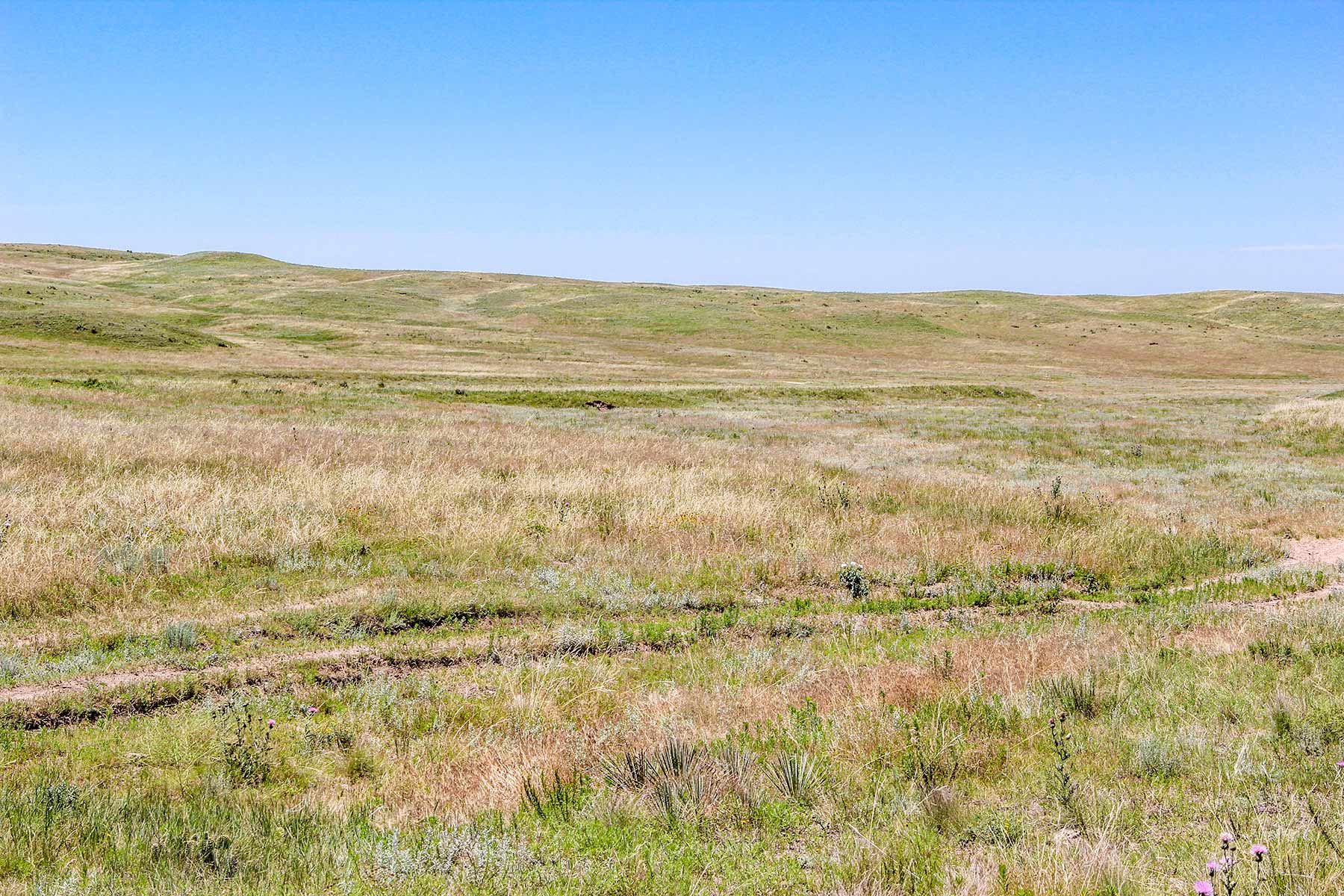 Rust Ranch property picture 49 of 77