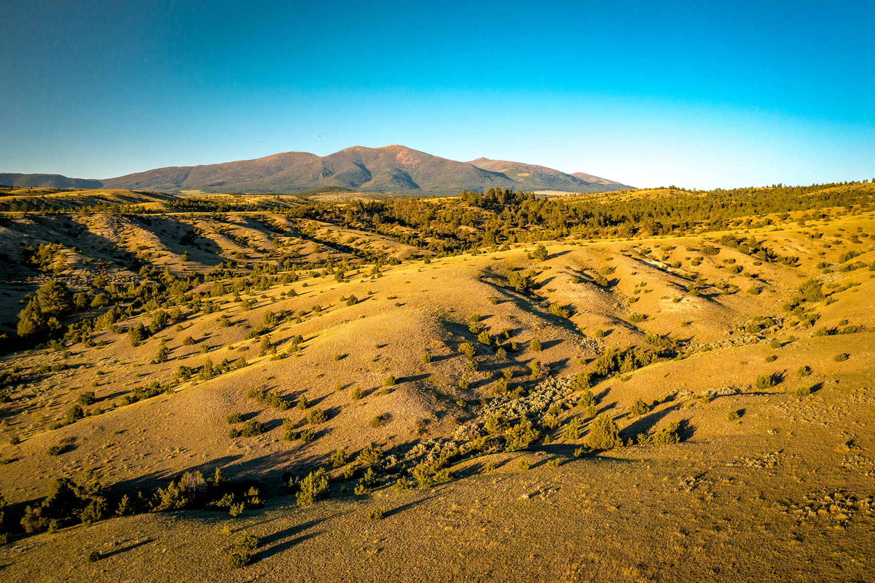 Double C Ranch property picture 22 of 75