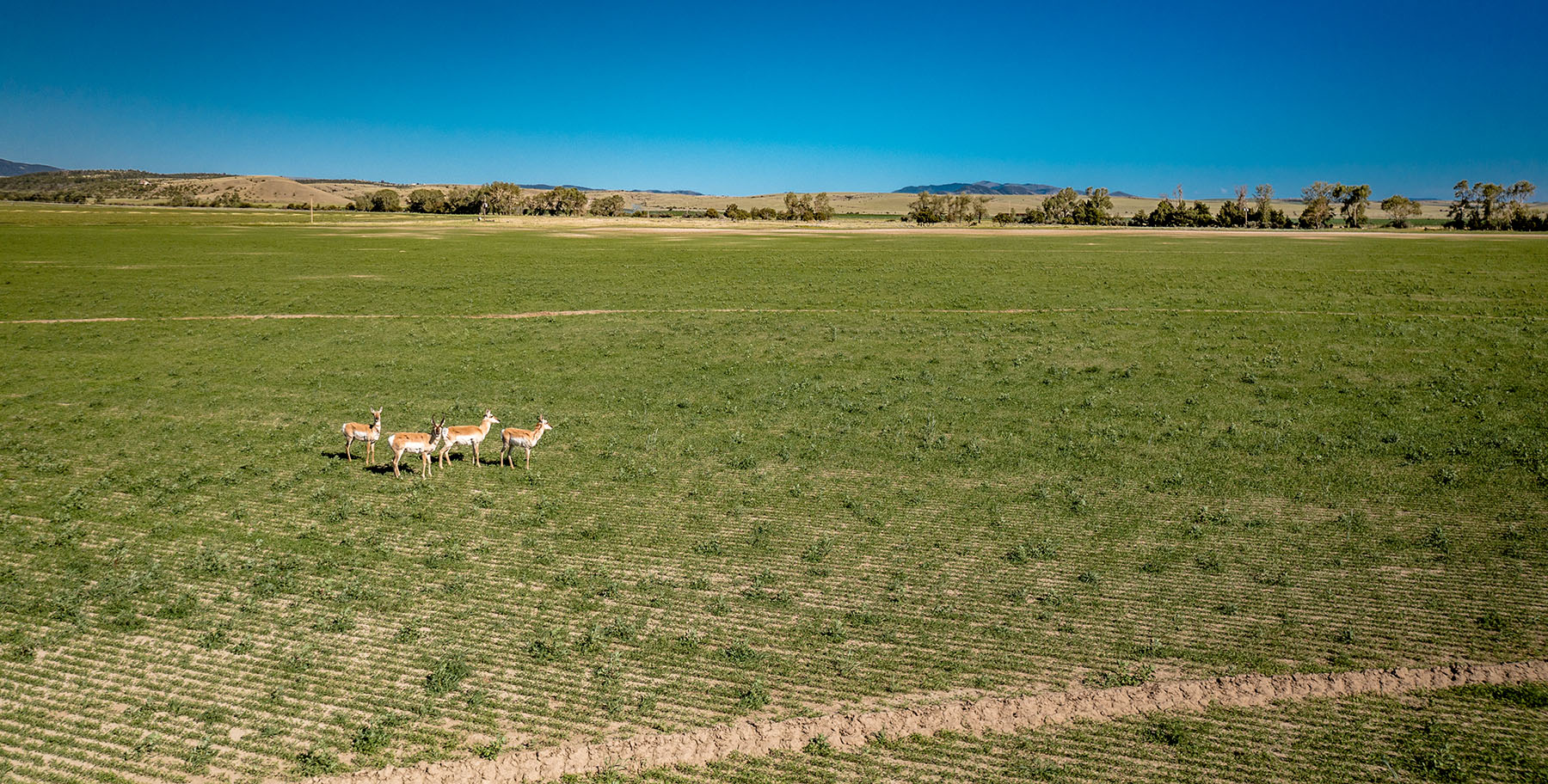 Double C Ranch property picture 69 of 75
