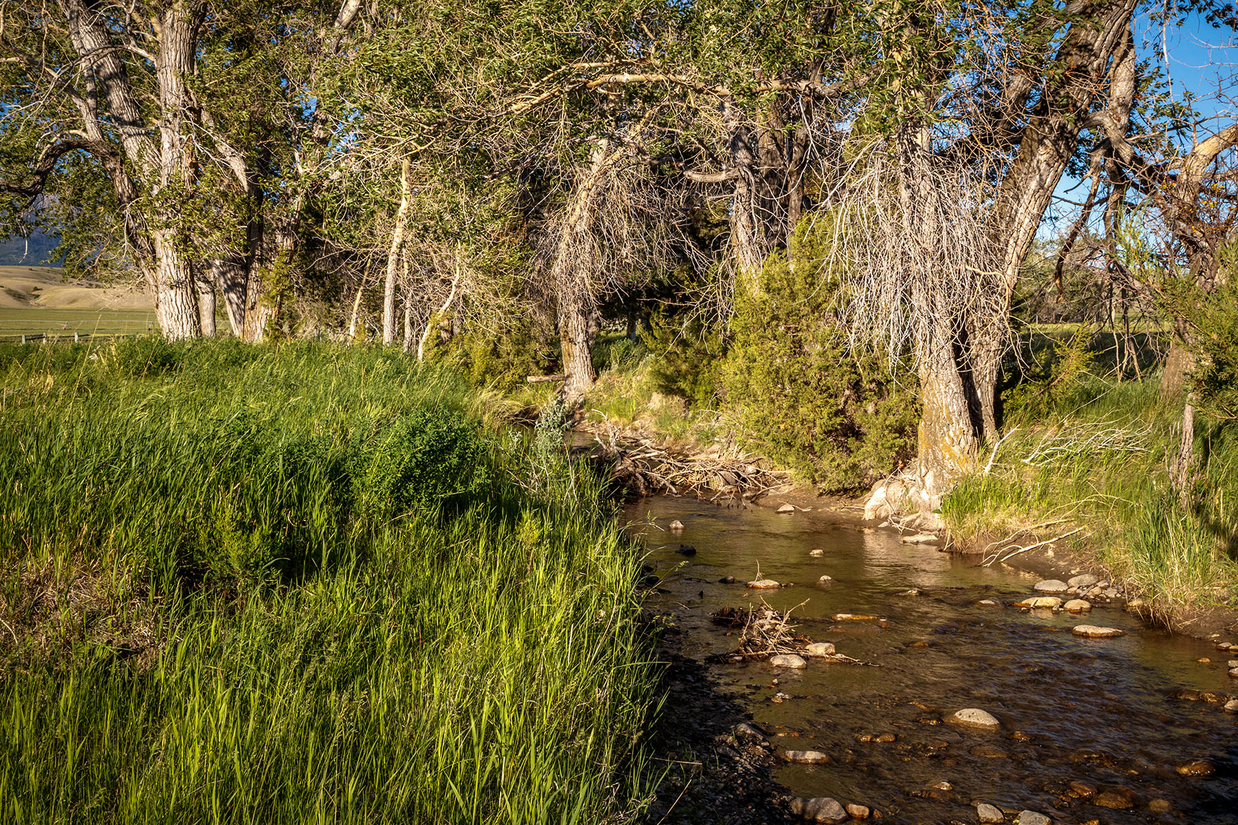 Double C Ranch property picture 38 of 75