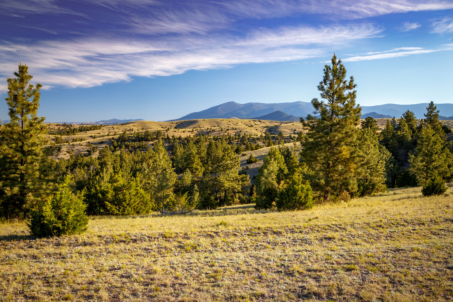 Double C Ranch property picture 5 of 75