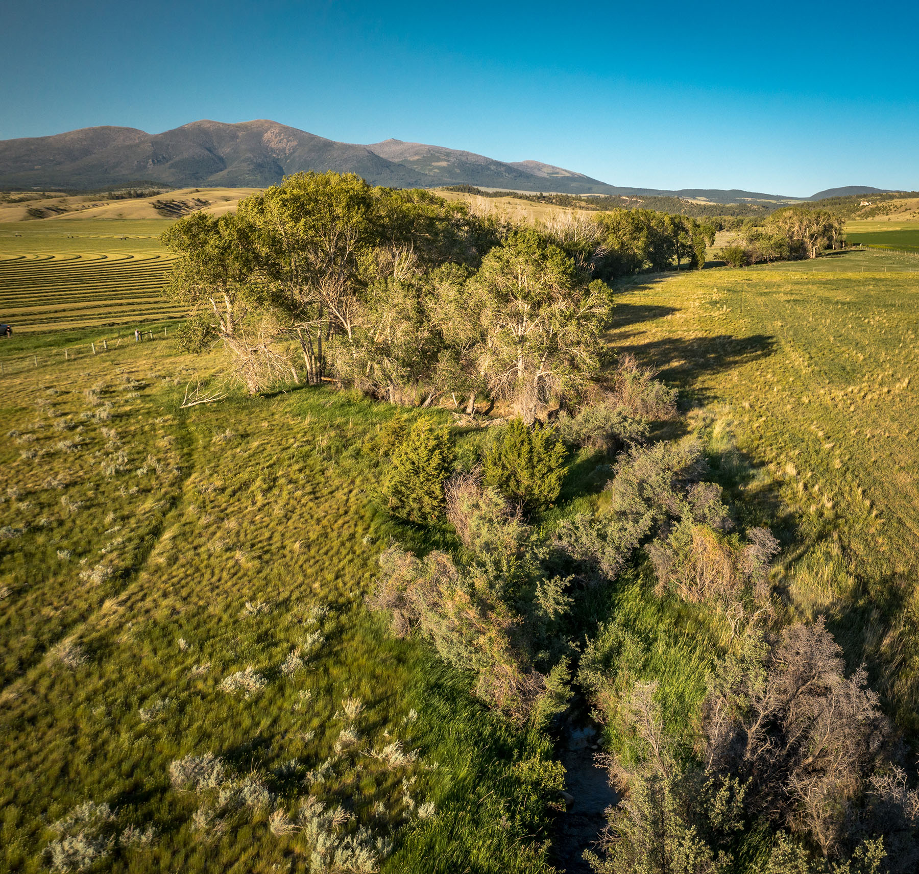 Double C Ranch property picture 8 of 75