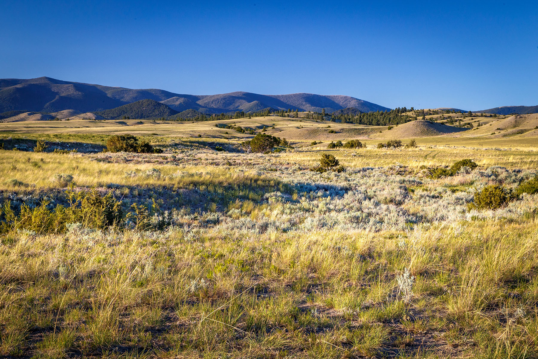 Double C Ranch property picture 39 of 75
