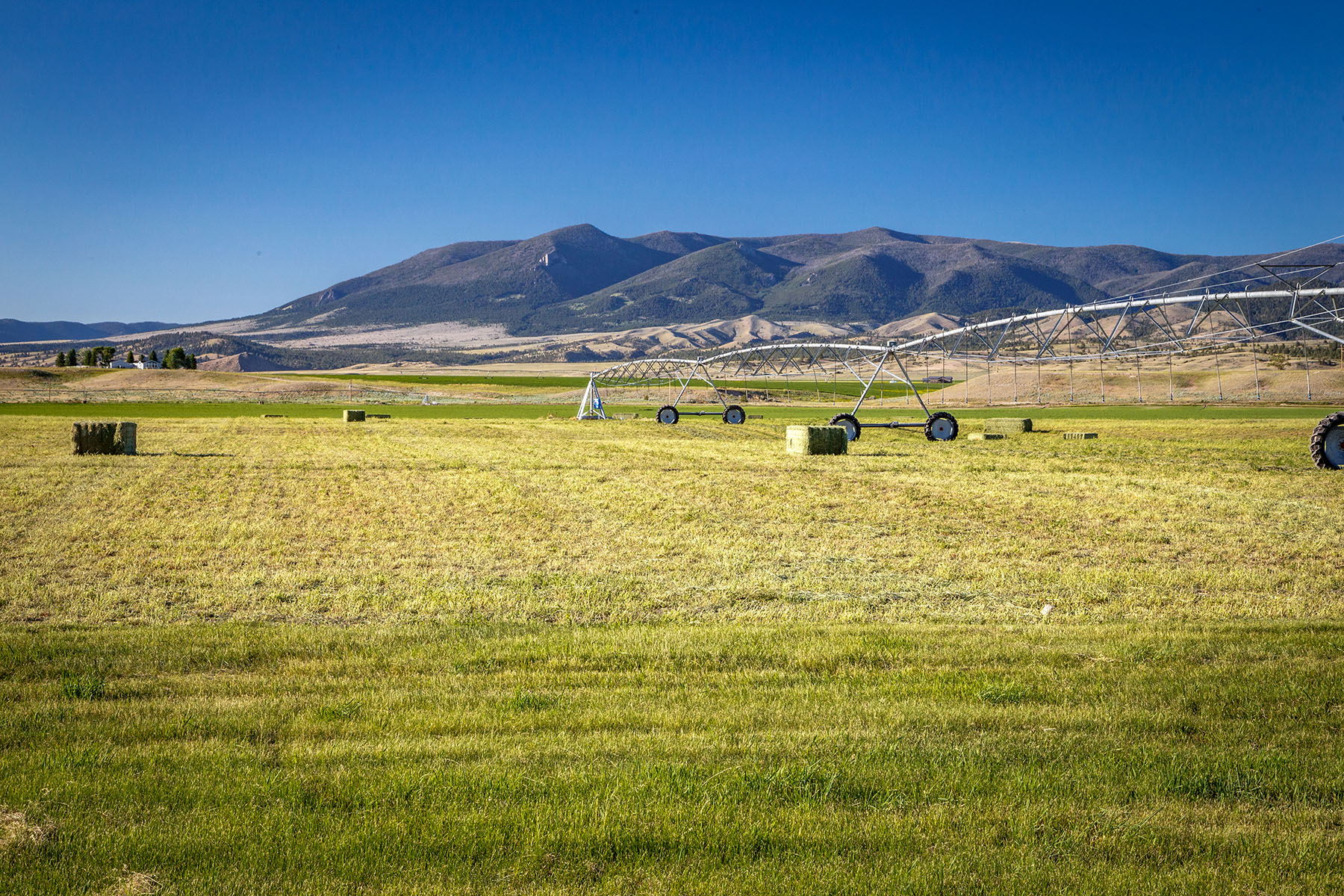 Double C Ranch property picture 36 of 75