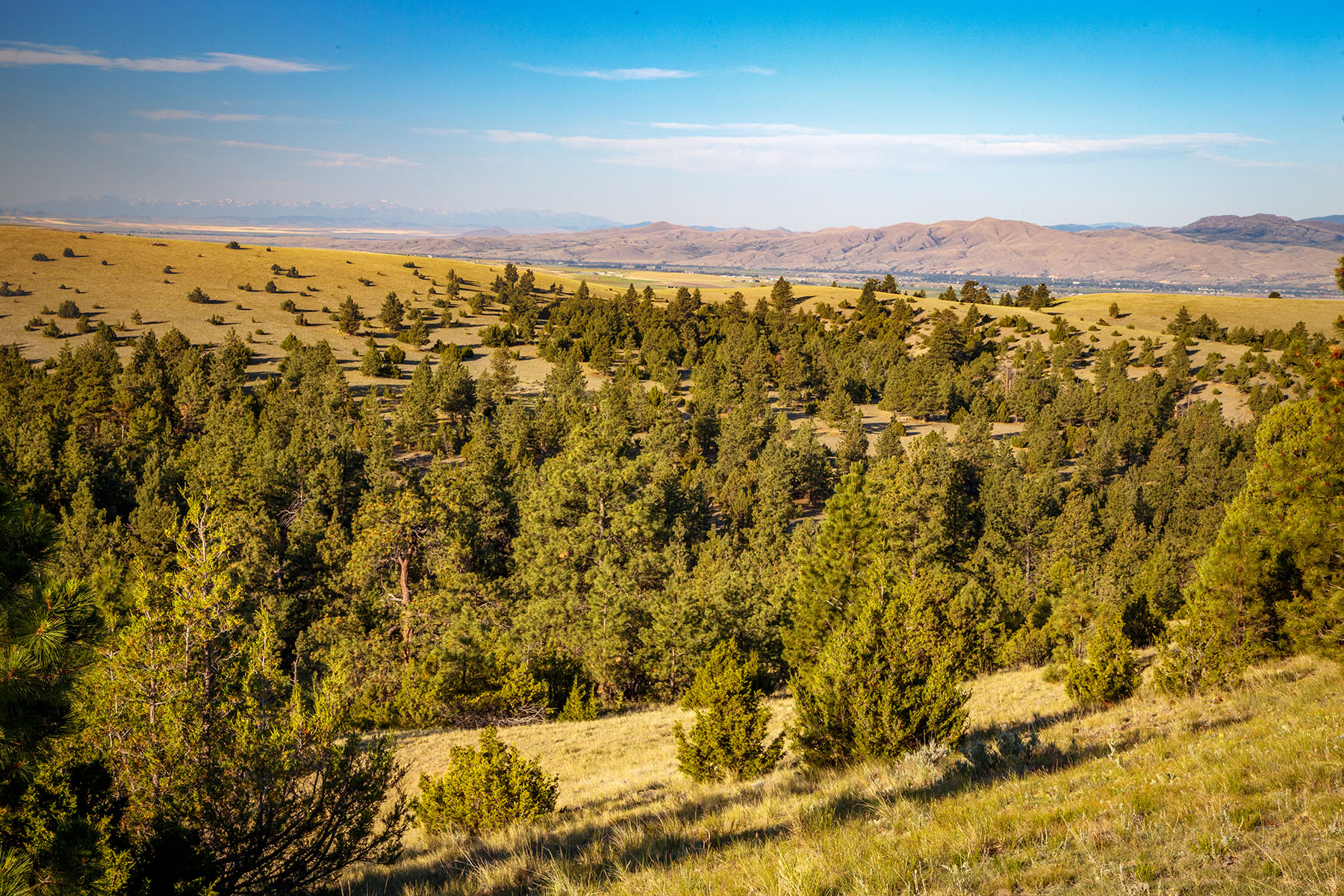 Double C Ranch property picture 33 of 75