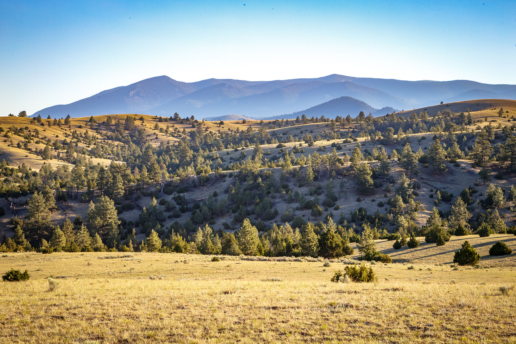 Double C Ranch property picture 7 of 75