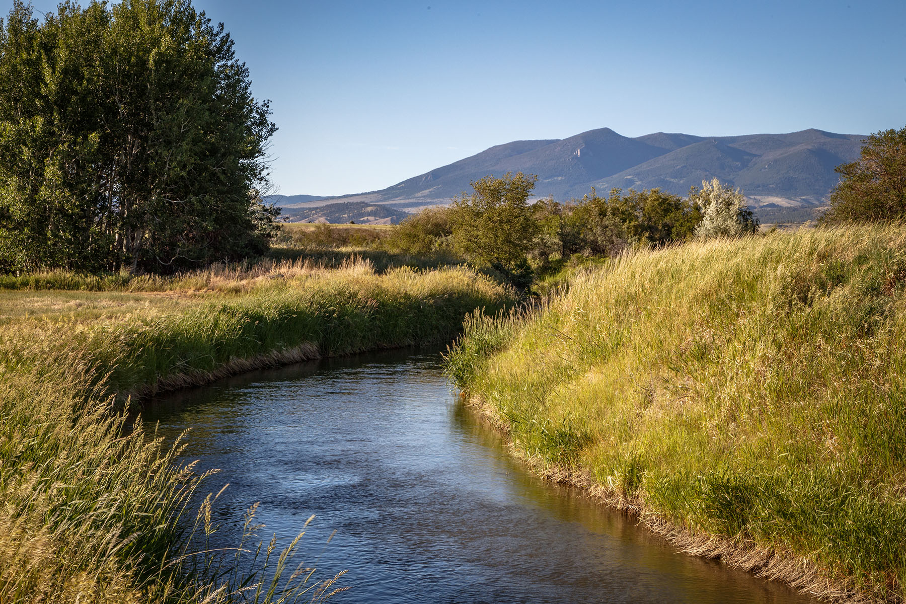Double C Ranch property picture 10 of 75