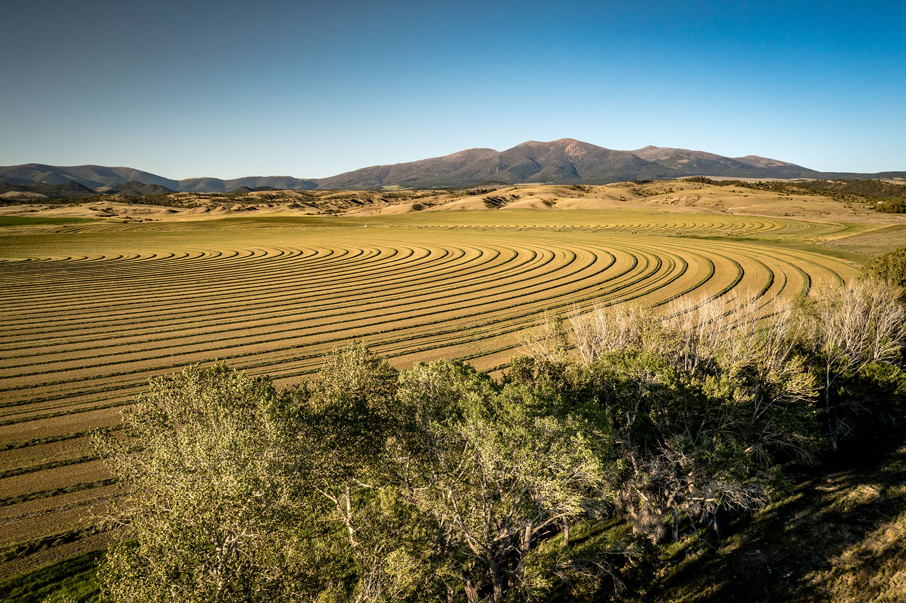 Double C Ranch property picture 66 of 75
