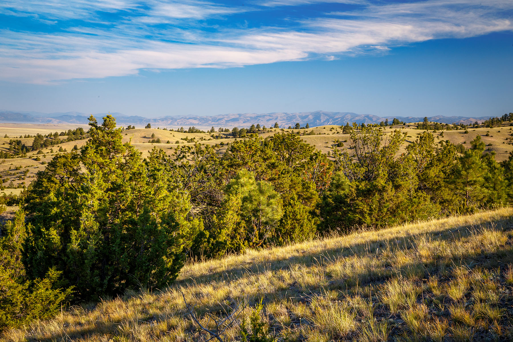 Double C Ranch property picture 14 of 75
