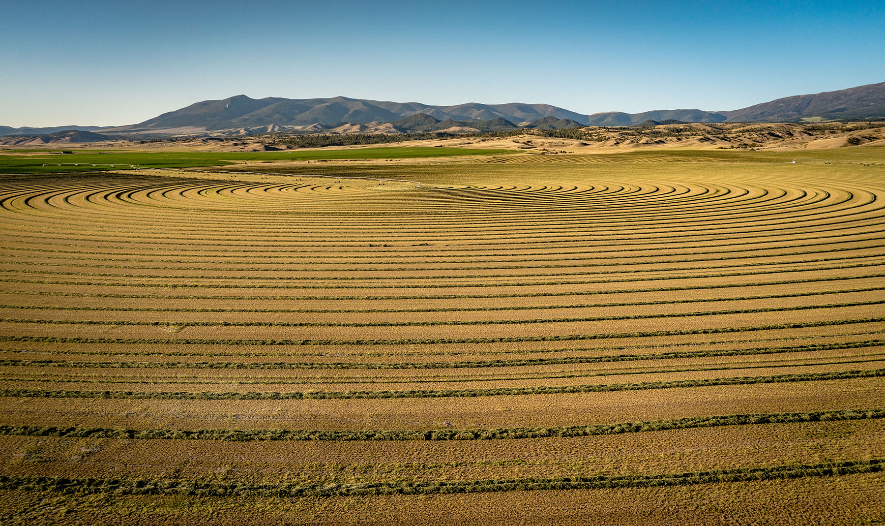 Double C Ranch property picture 67 of 75