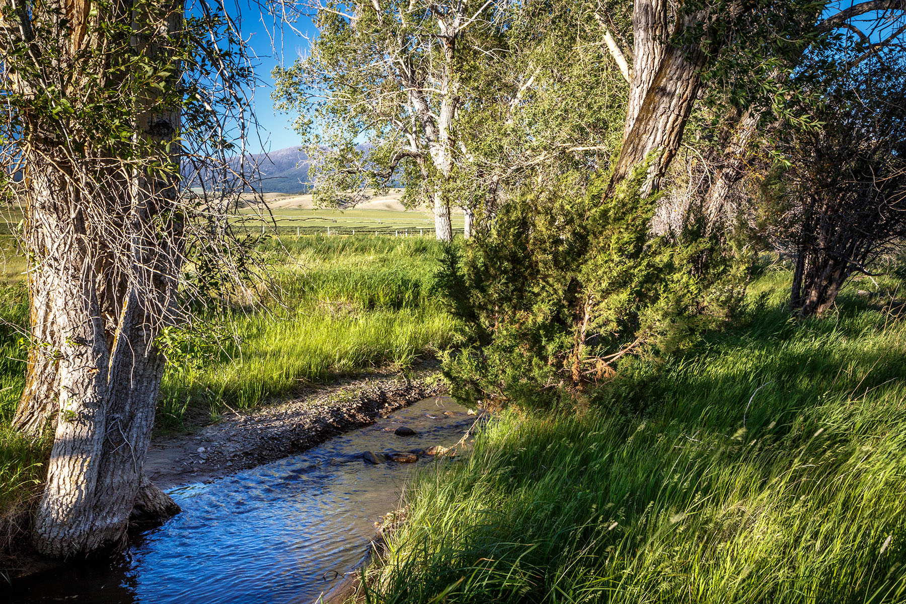 Double C Ranch property picture 20 of 75