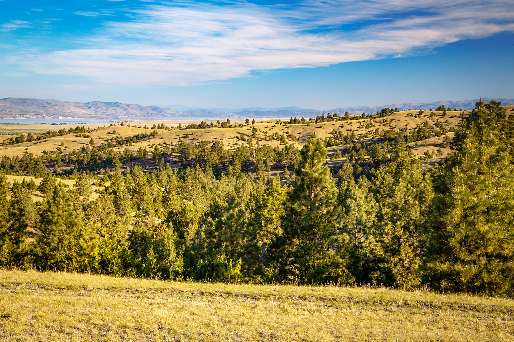Double C Ranch property picture 53 of 75