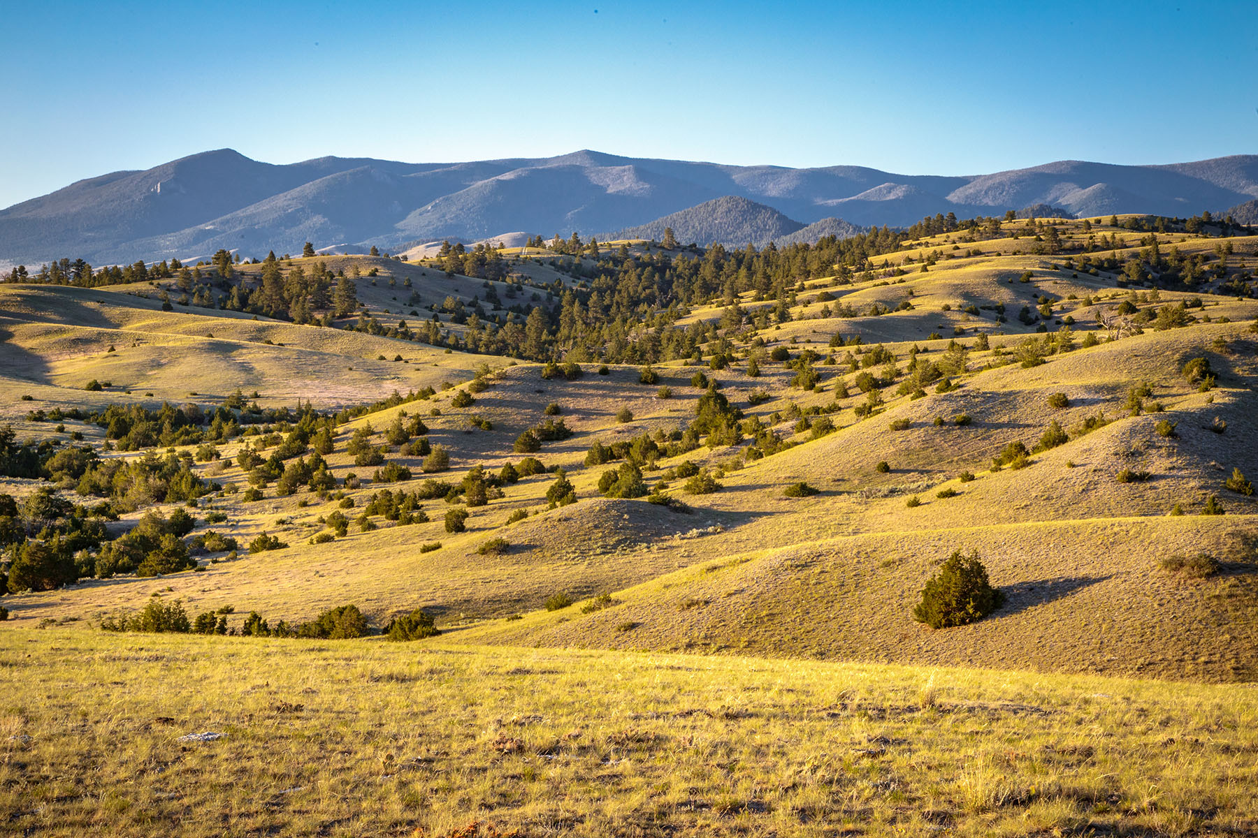 Double C Ranch property picture 40 of 75
