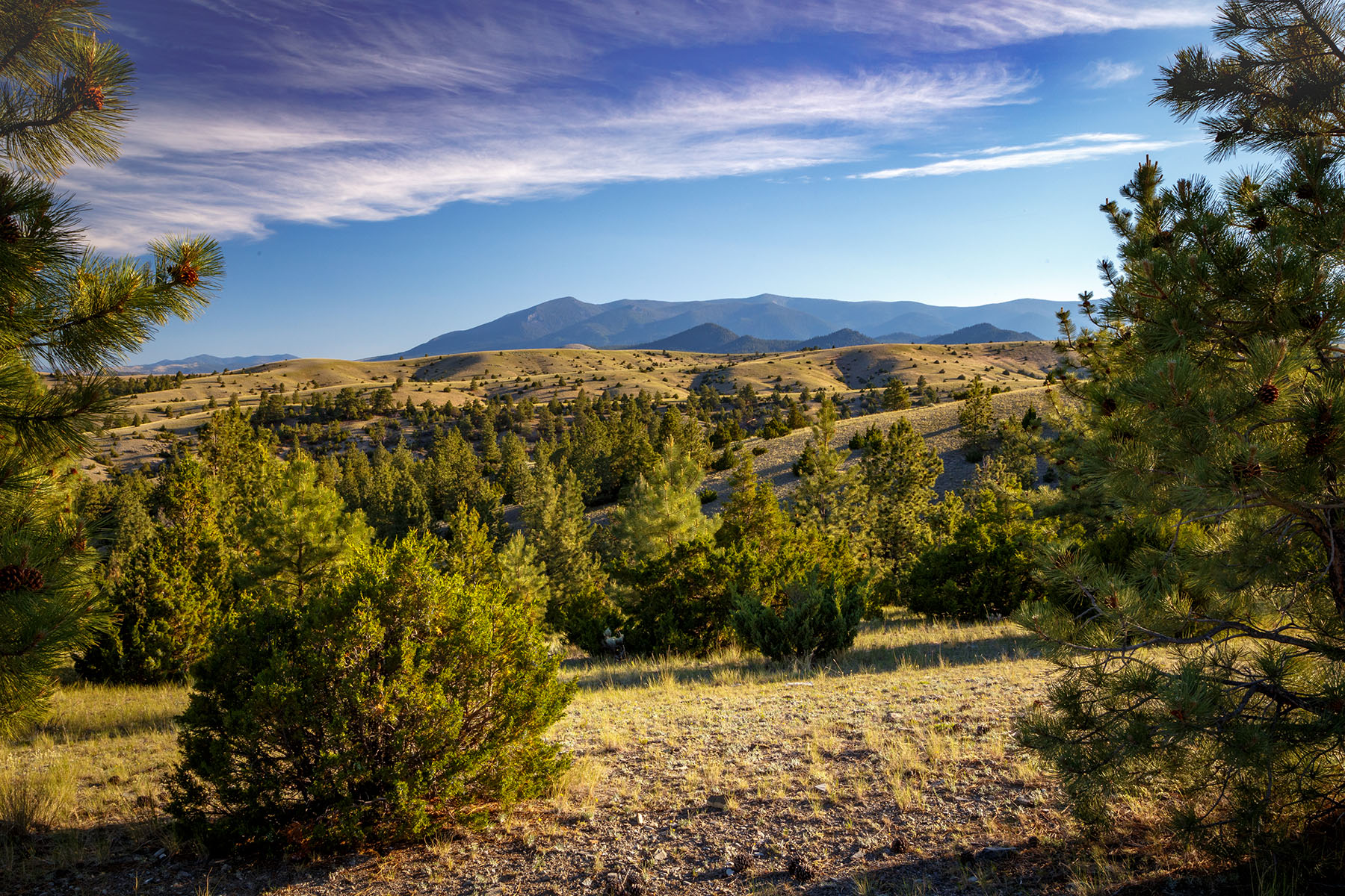Double C Ranch property picture 62 of 75