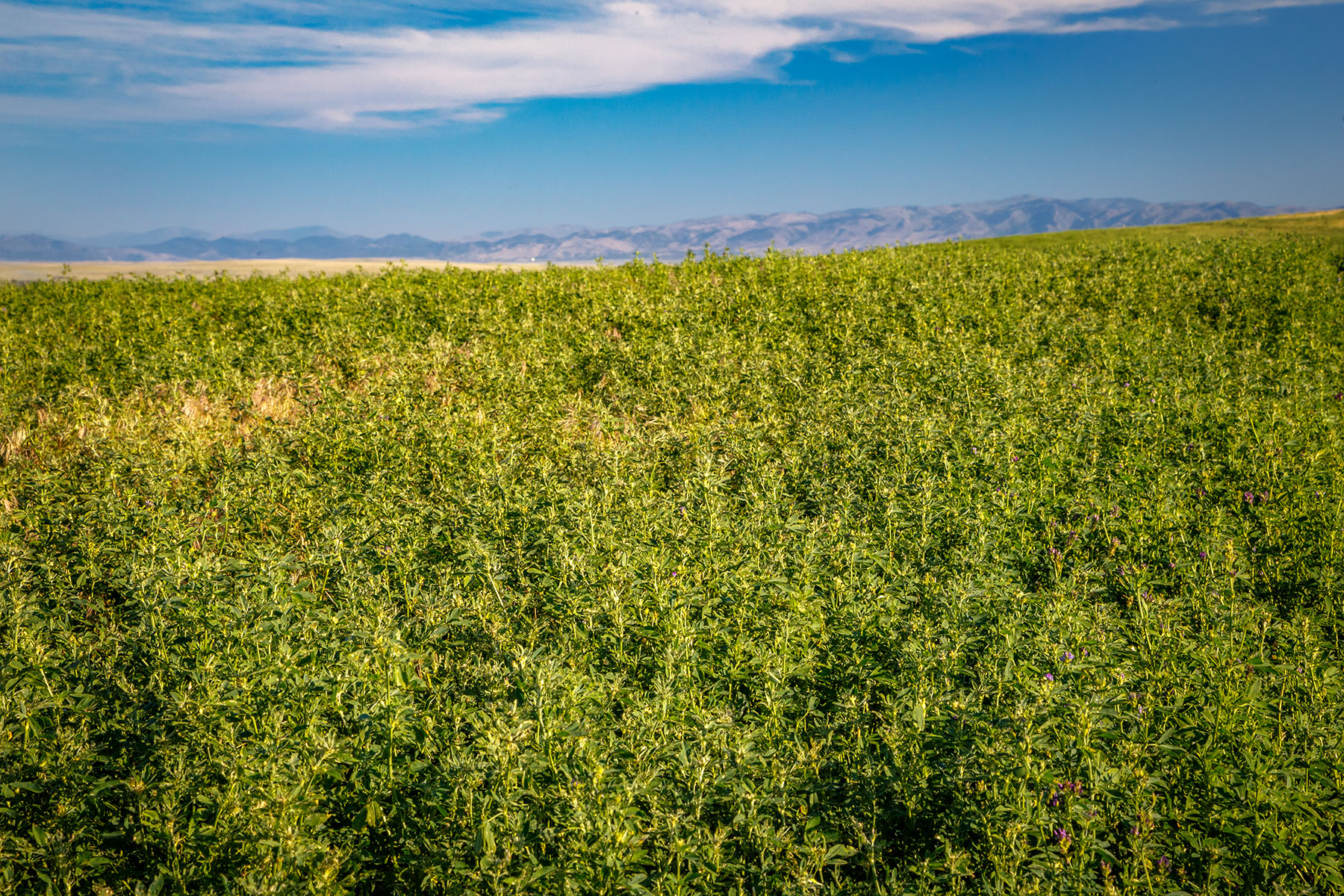 Double C Ranch property picture 63 of 75