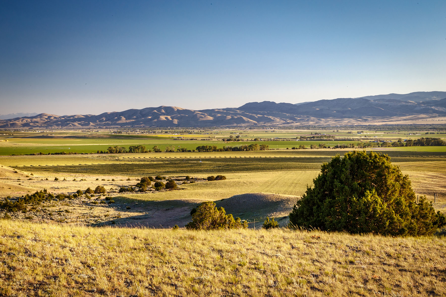 Double C Ranch property picture 50 of 75
