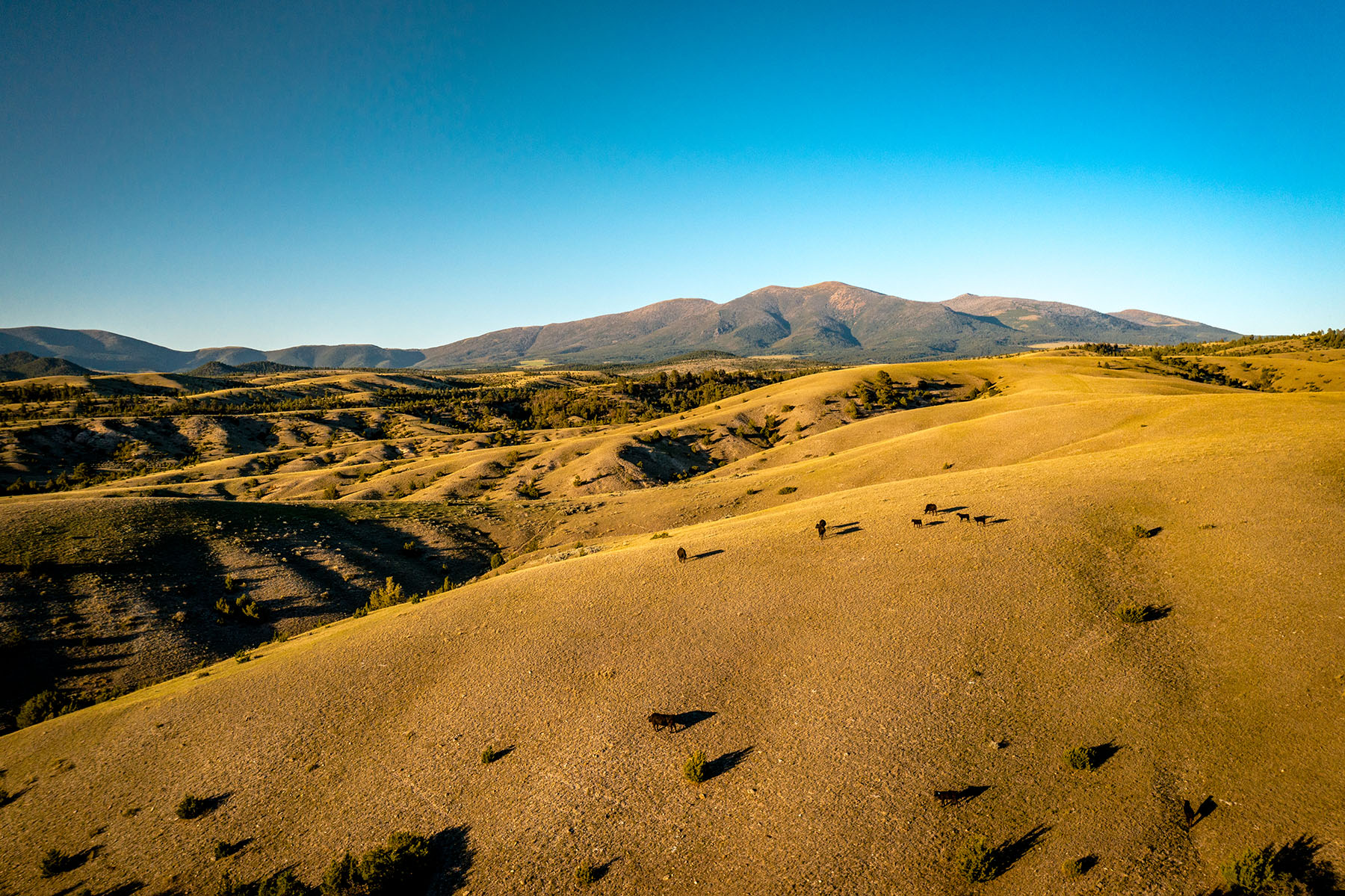 Double C Ranch property picture 21 of 75