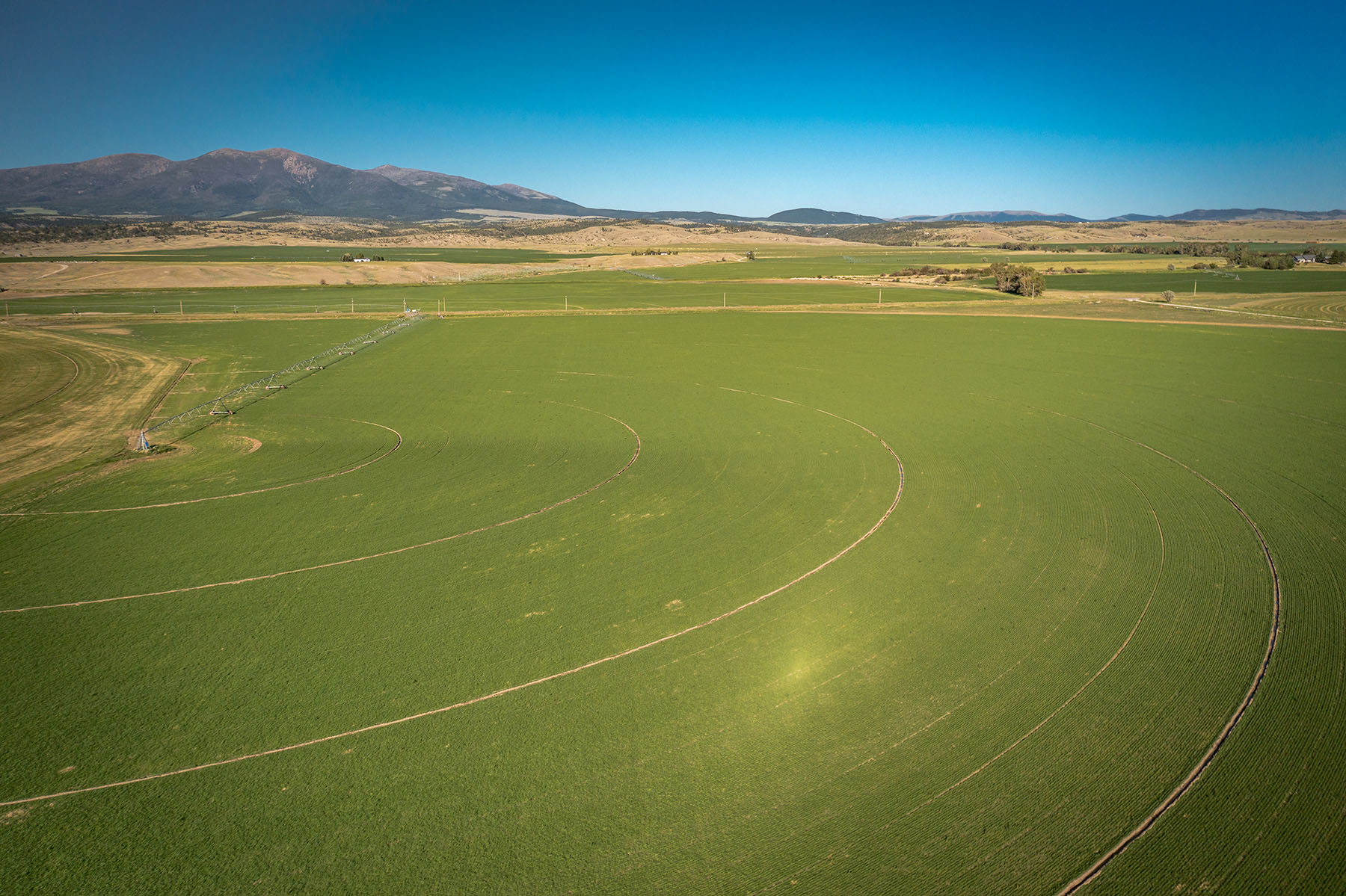 Double C Ranch property picture 73 of 75