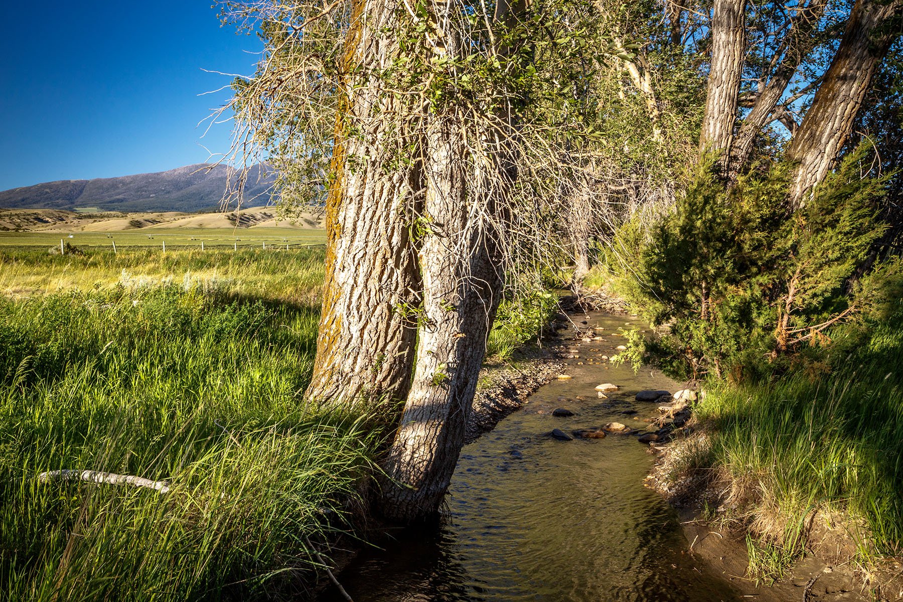 Double C Ranch property picture 64 of 75