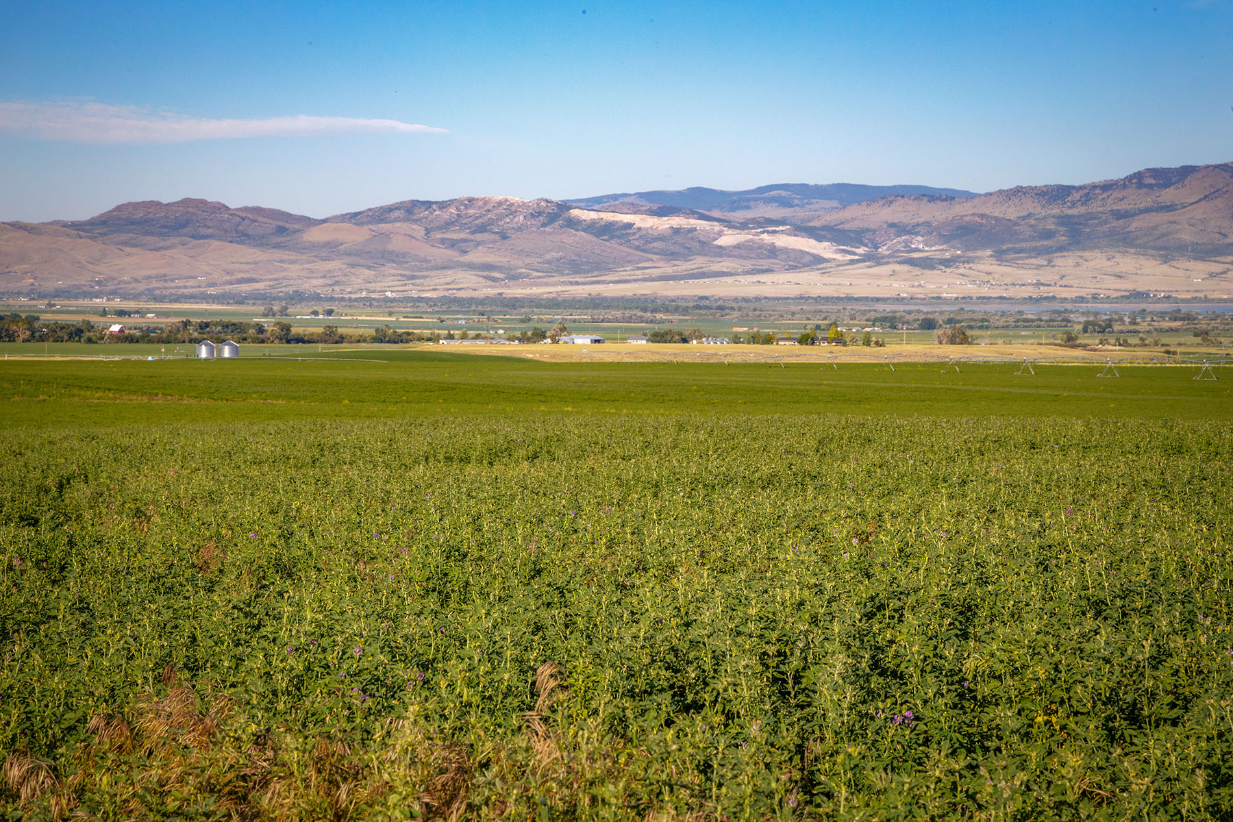 Double C Ranch property picture 16 of 75