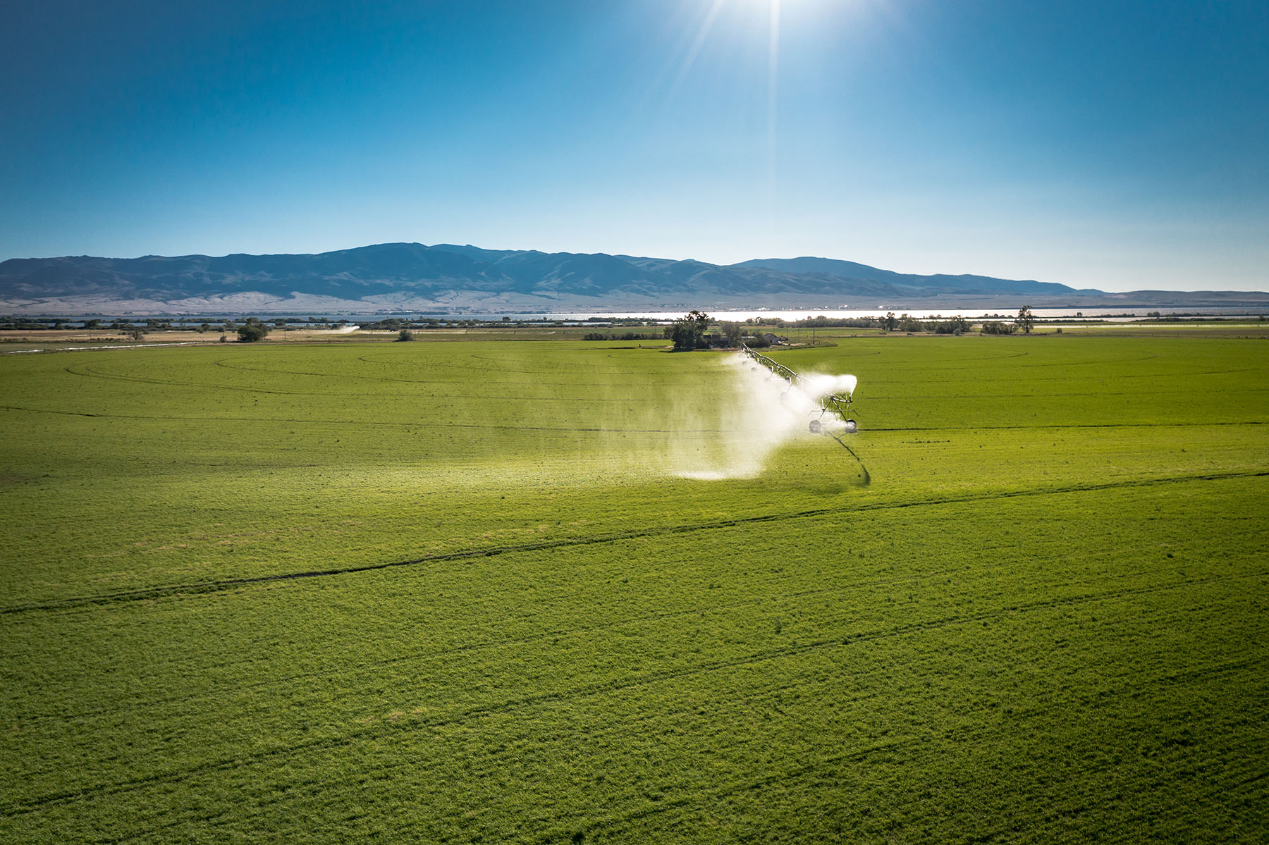 Double C Ranch property picture 72 of 75