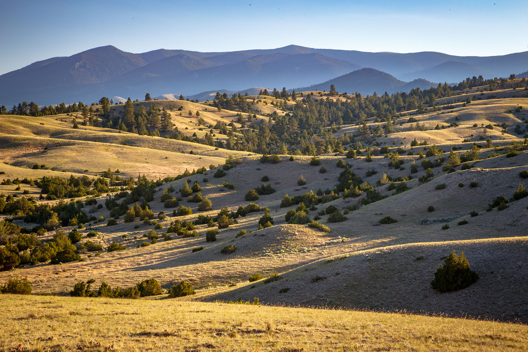 Double C Ranch property picture 52 of 75
