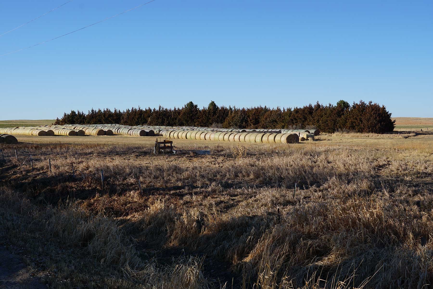 Zeman Farm & Ranch property picture 82 of 84