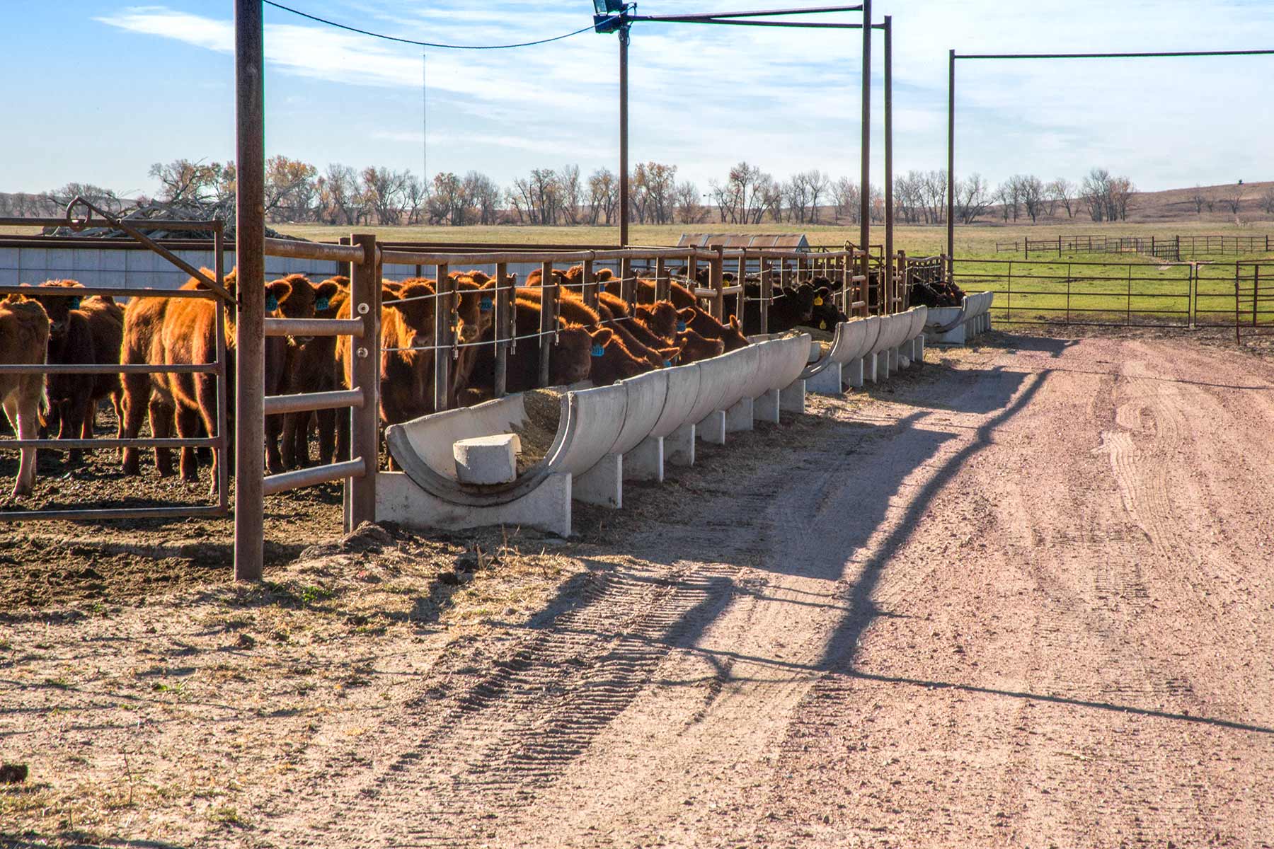 Zeman Farm & Ranch property picture 8 of 84