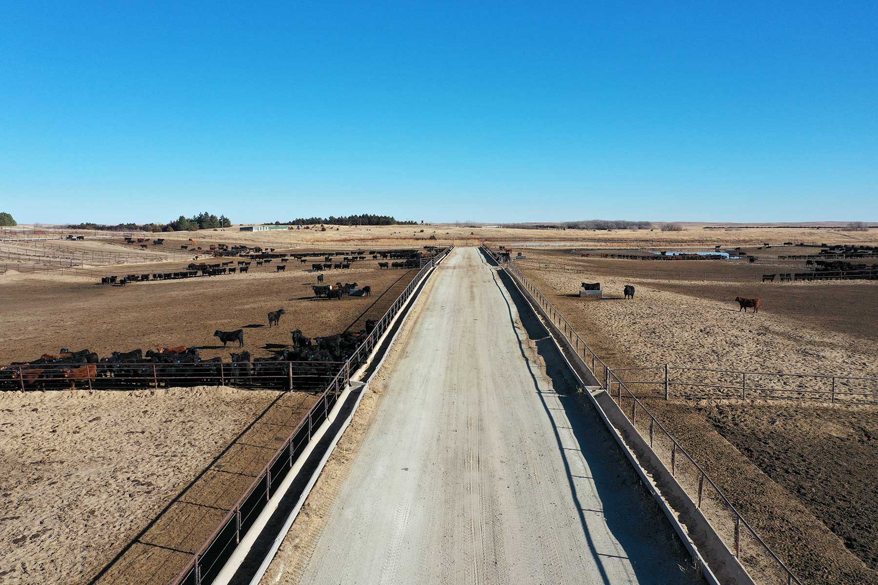 Zeman Farm & Ranch property picture 74 of 84