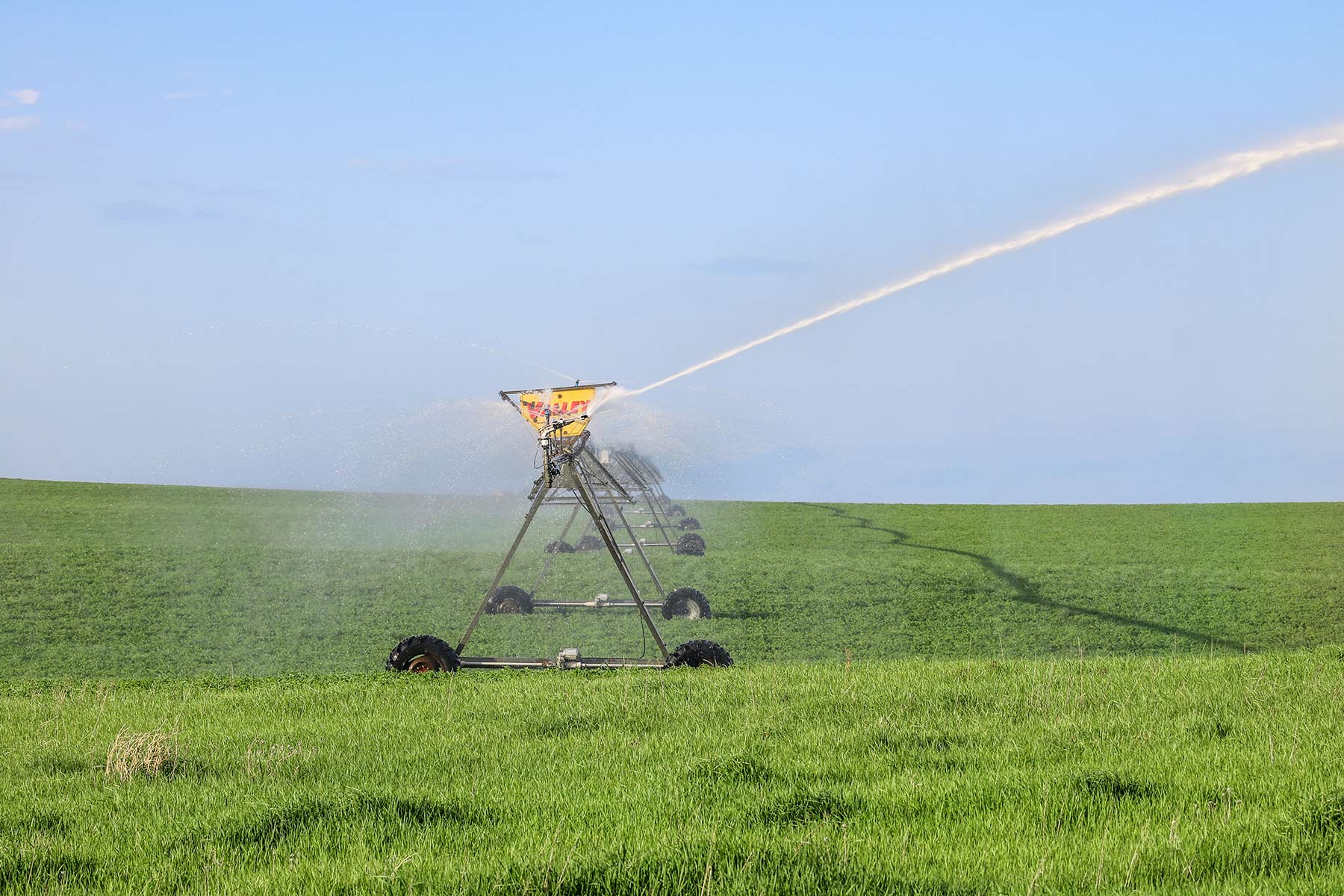 Zeman Farm & Ranch property picture 46 of 84