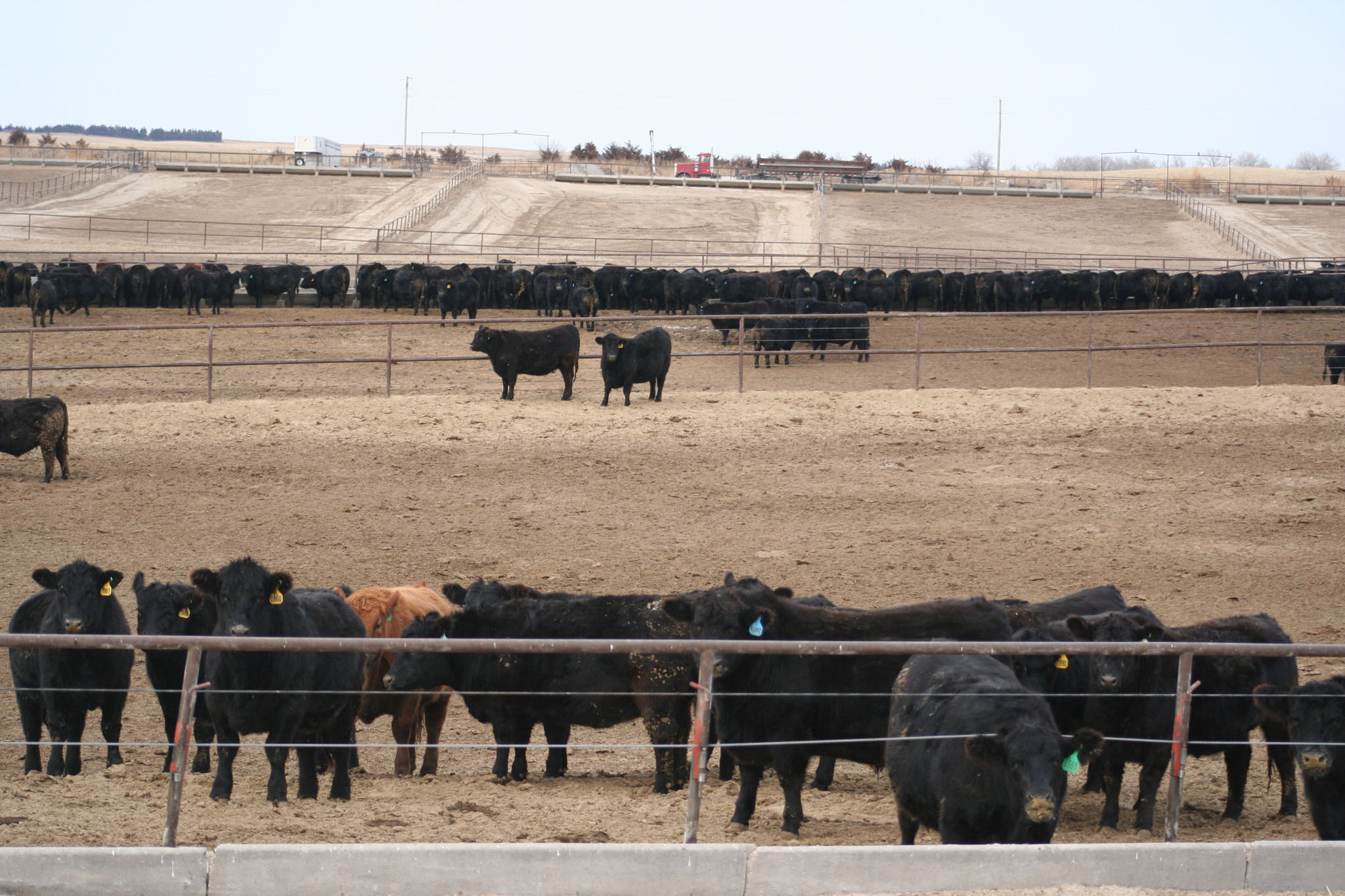 Zeman Farm & Ranch property picture 4 of 84